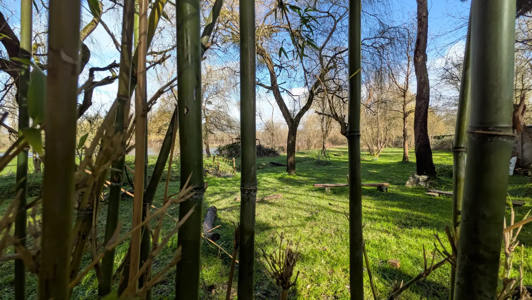 A l'orée des marais #4