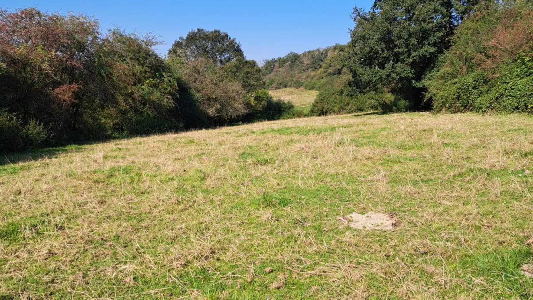 Aux nouées de Saint Hubert