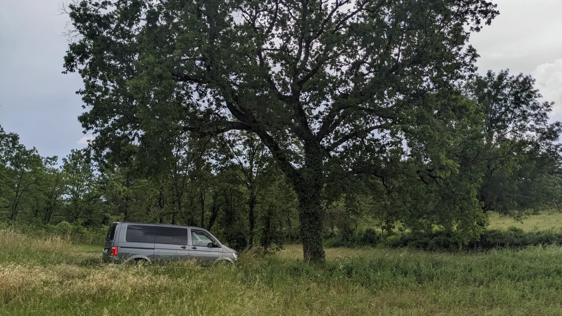 L'arbre de Capendut