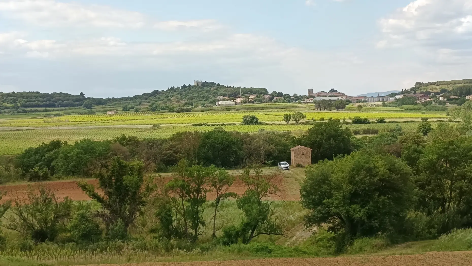 La vue de l'obstiné