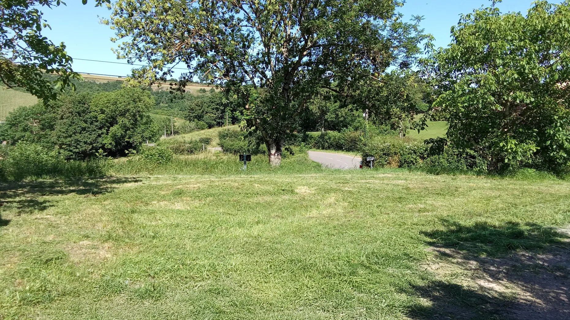 Un clou dans la vigne #4