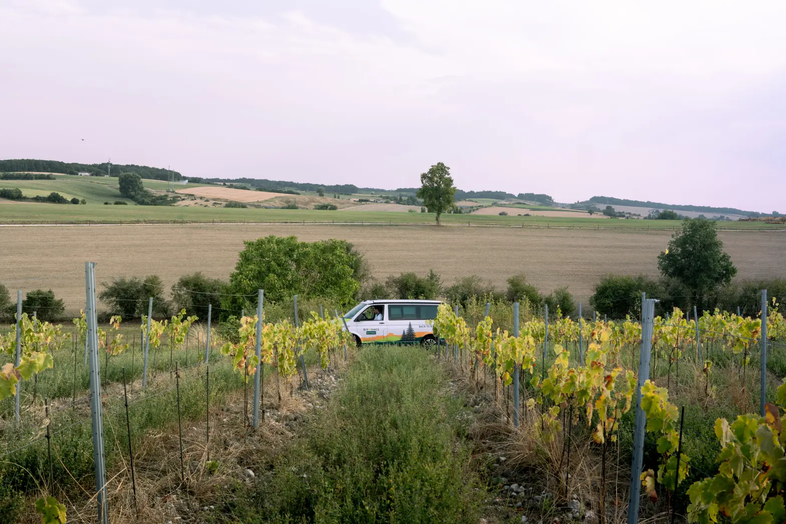Le Belvédère de Puygrelier
