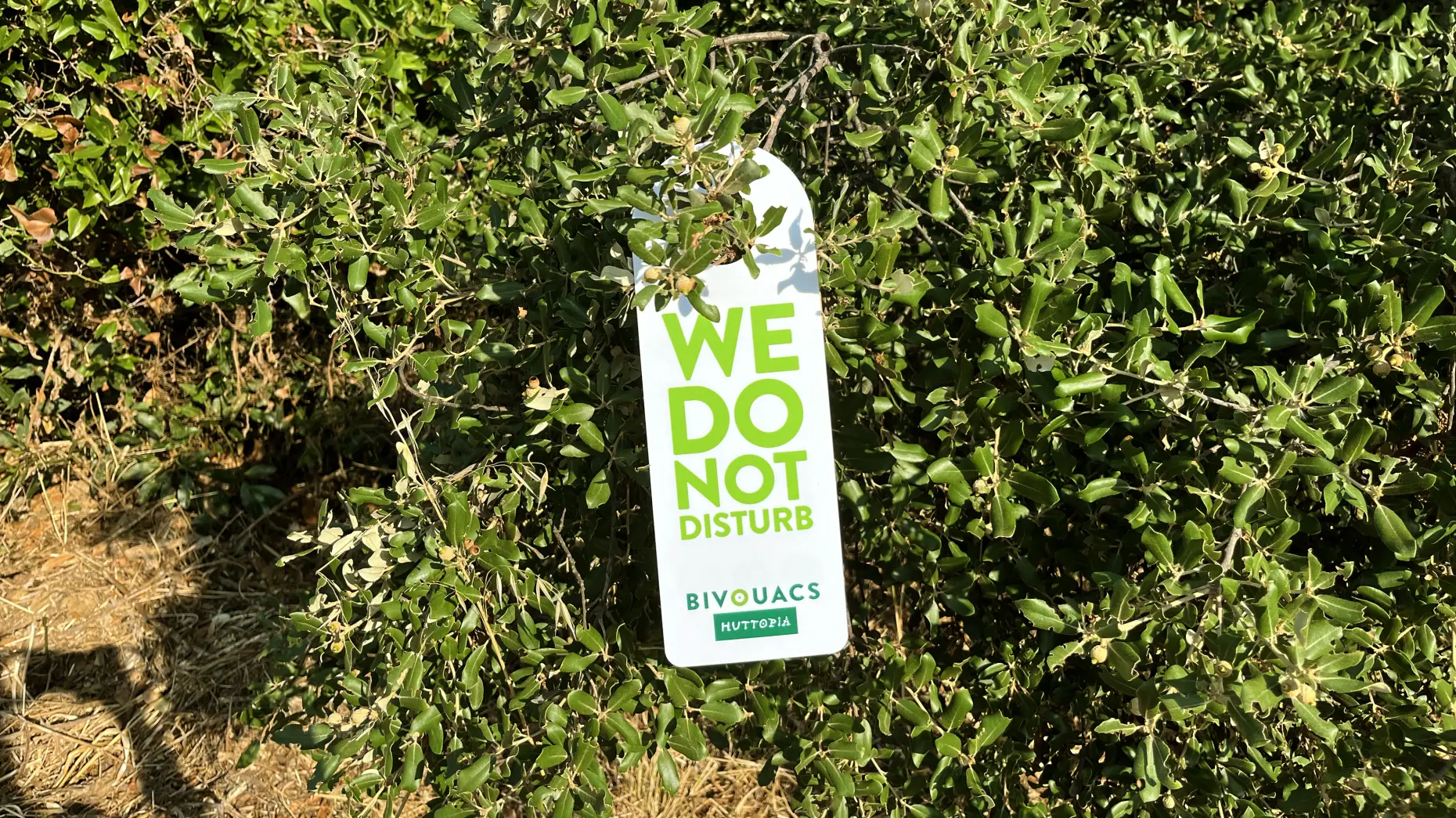 Les raisins de la Dourbie