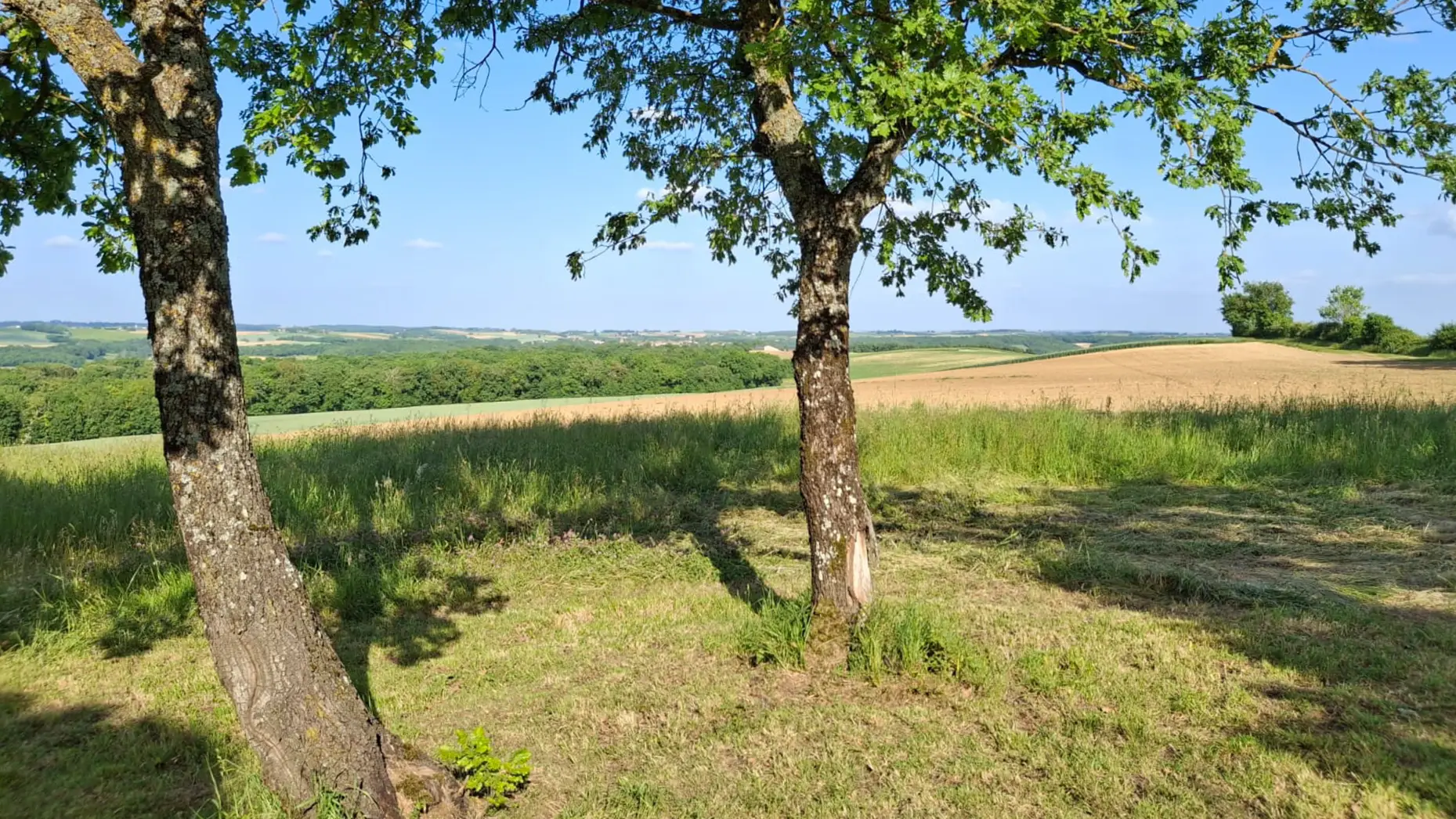 Au pied du moulin #4
