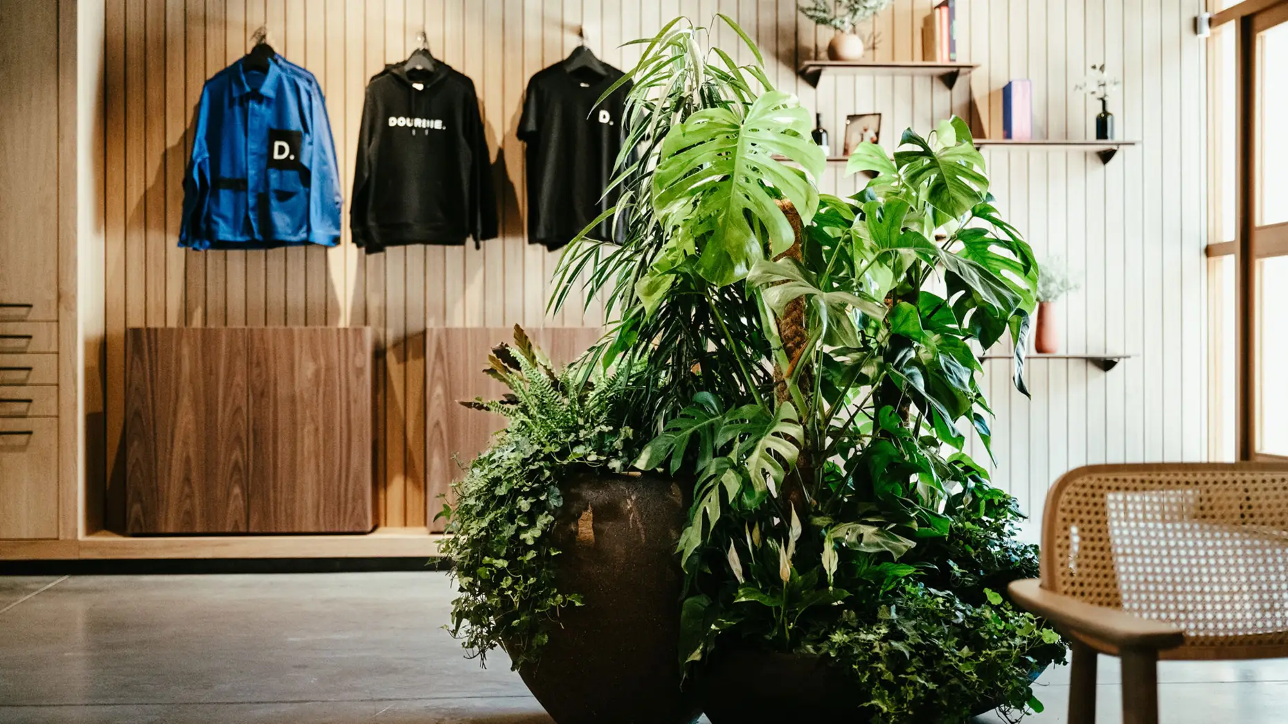 Les raisins de la Dourbie #7