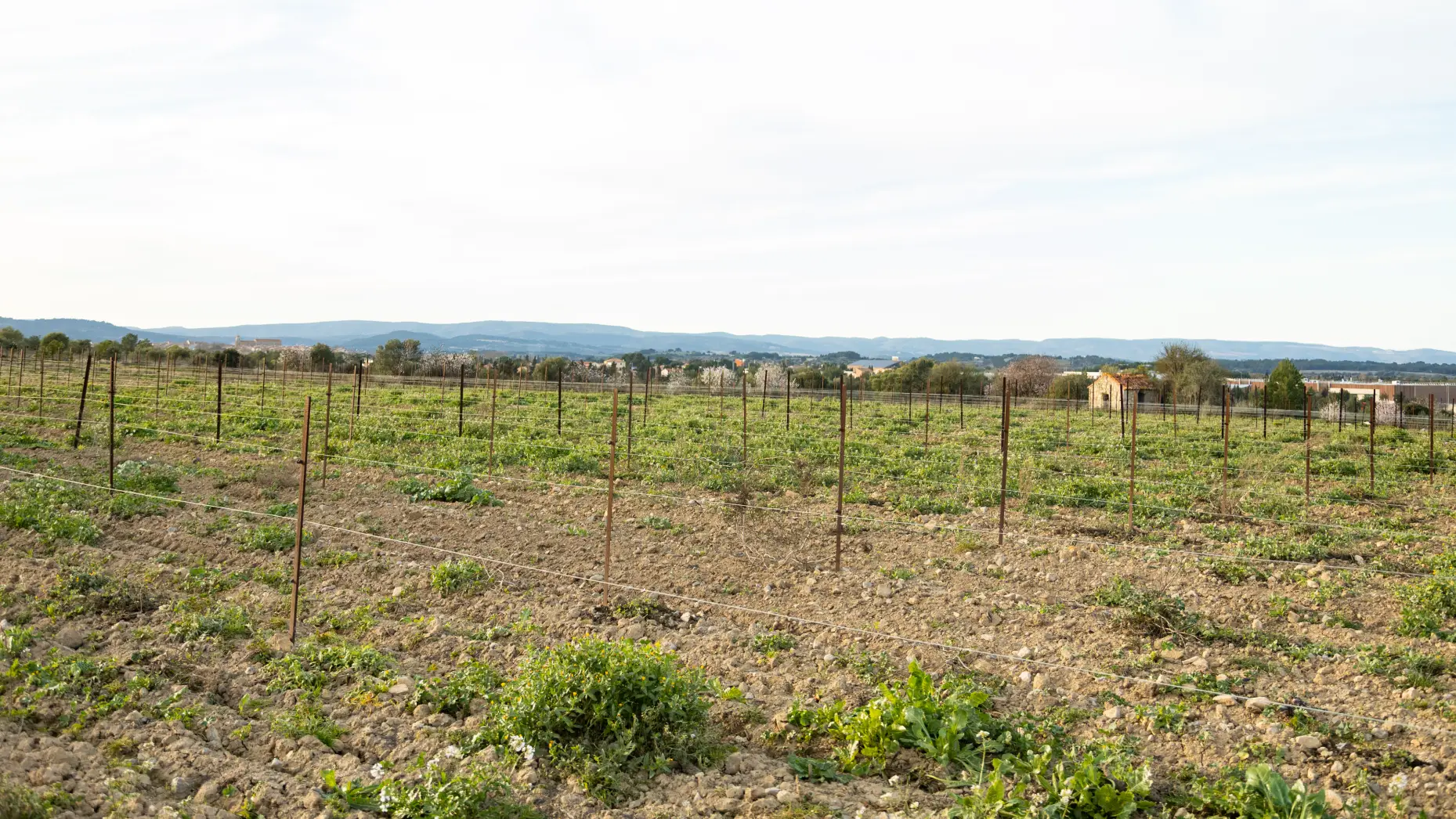 Le métal au vent #4