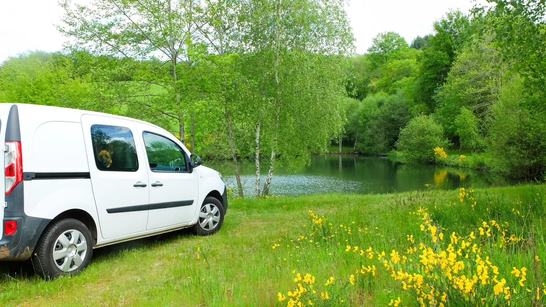 L'étang d'Higones #5