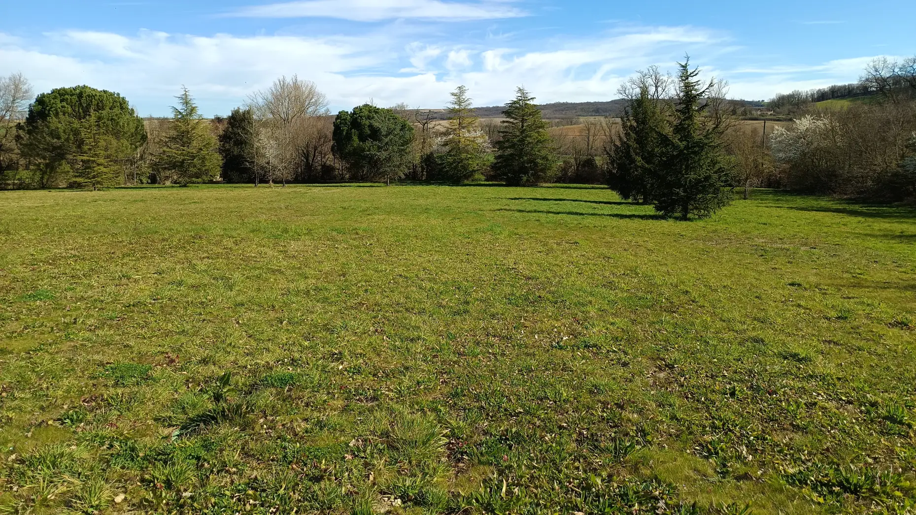 Le bois des garrigues #4