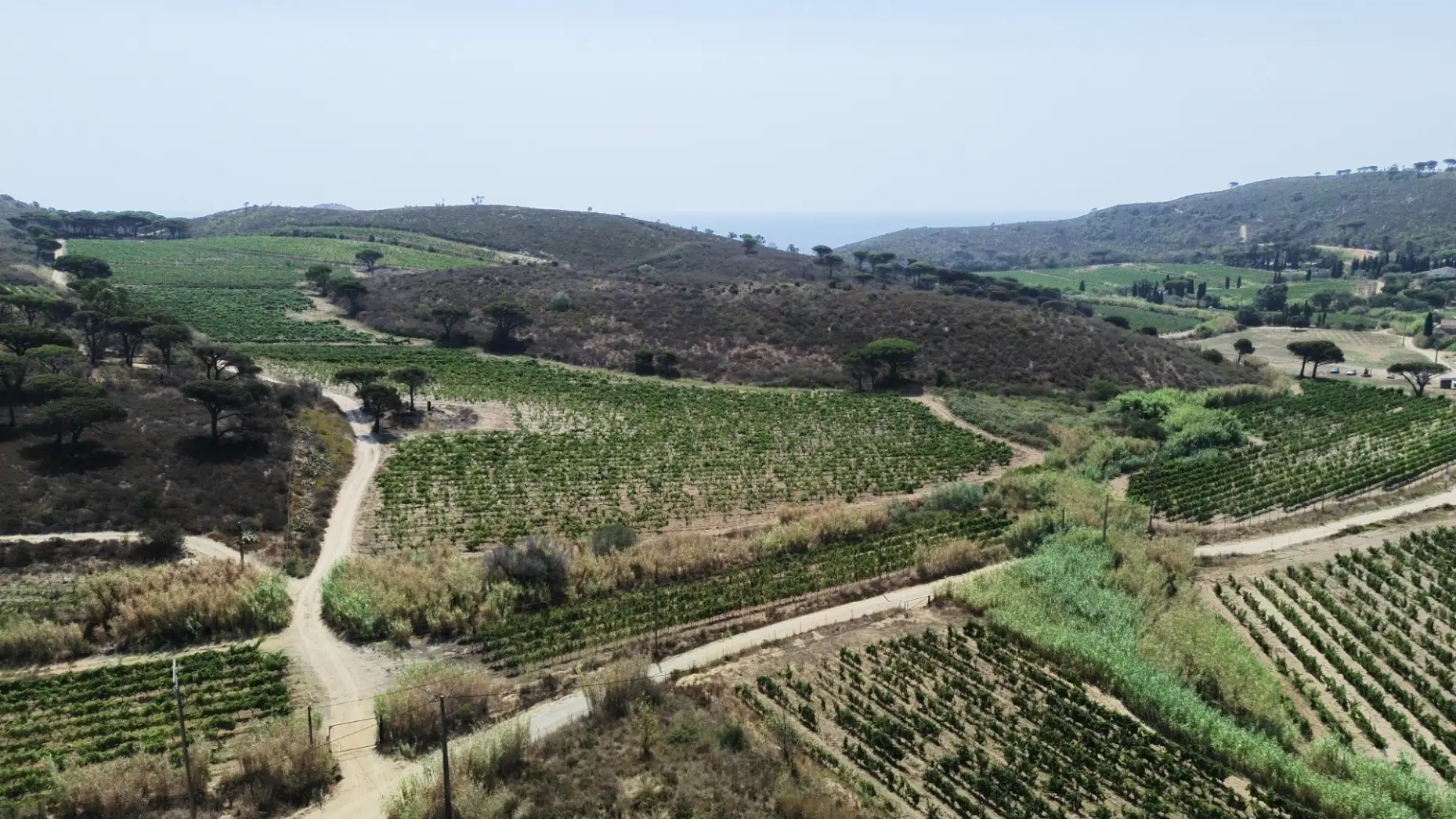 Domaine de la Tourraque #5