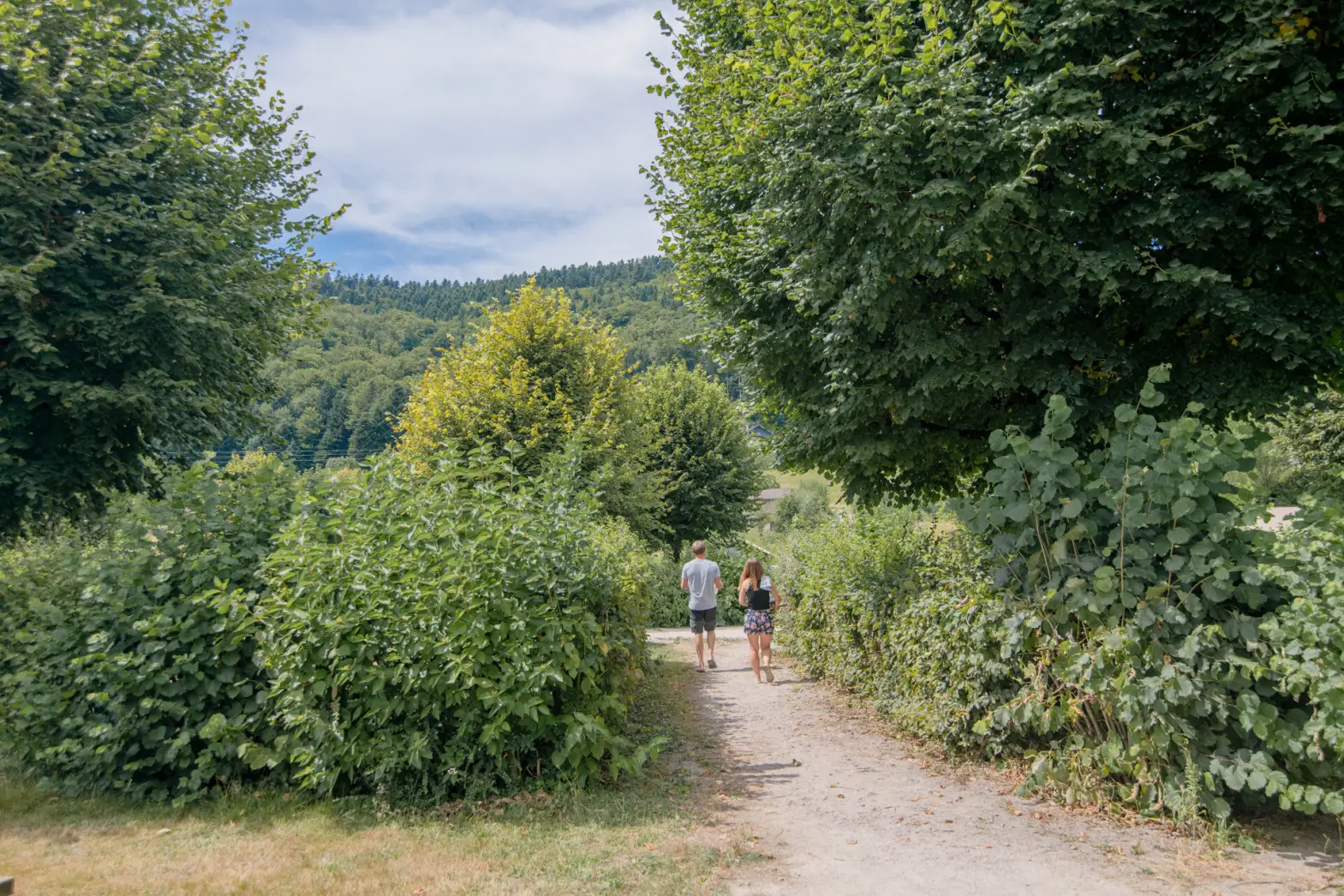 Camping L'Orée des Vosges