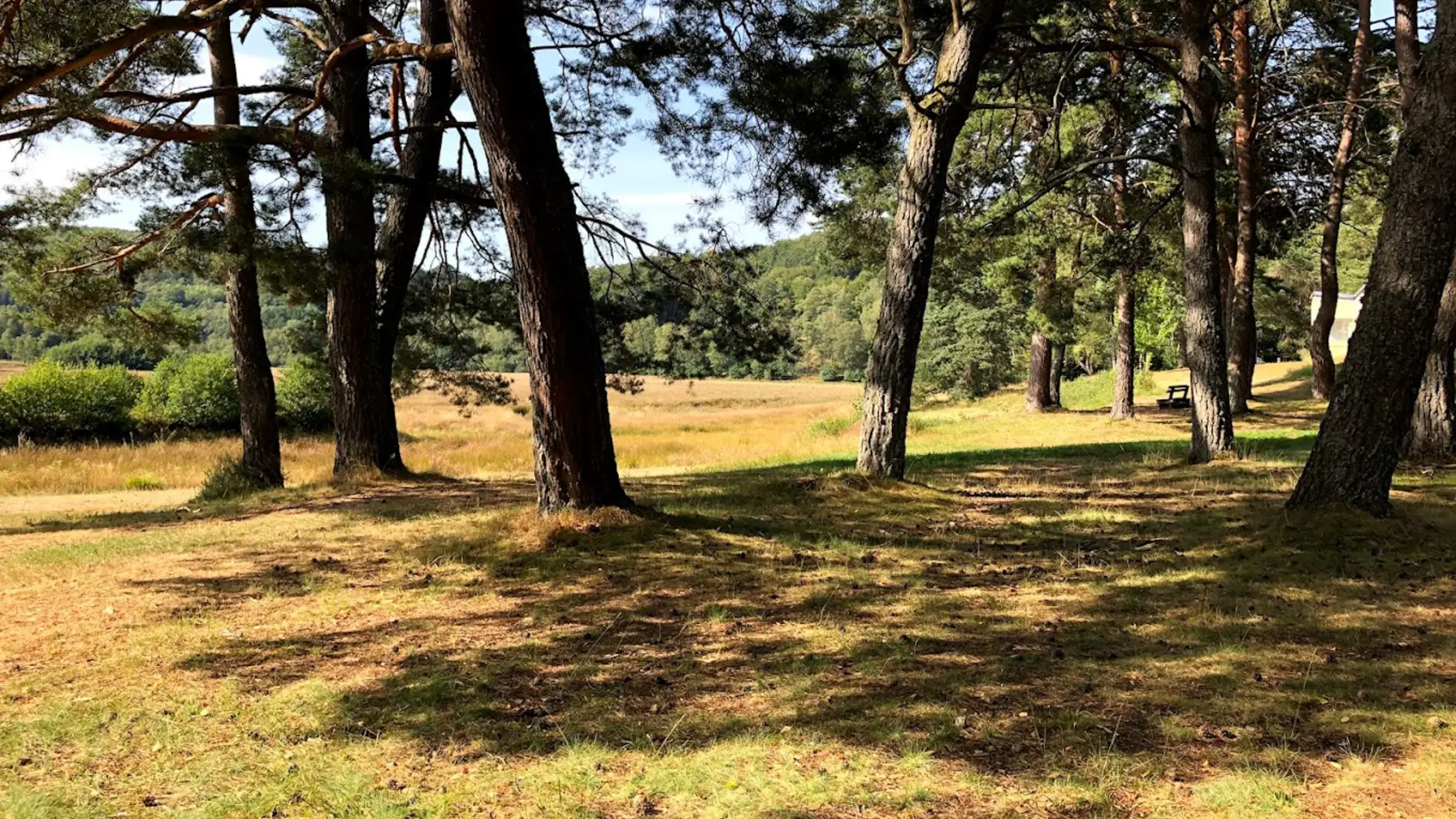 Camping au Cœur du Parc #4