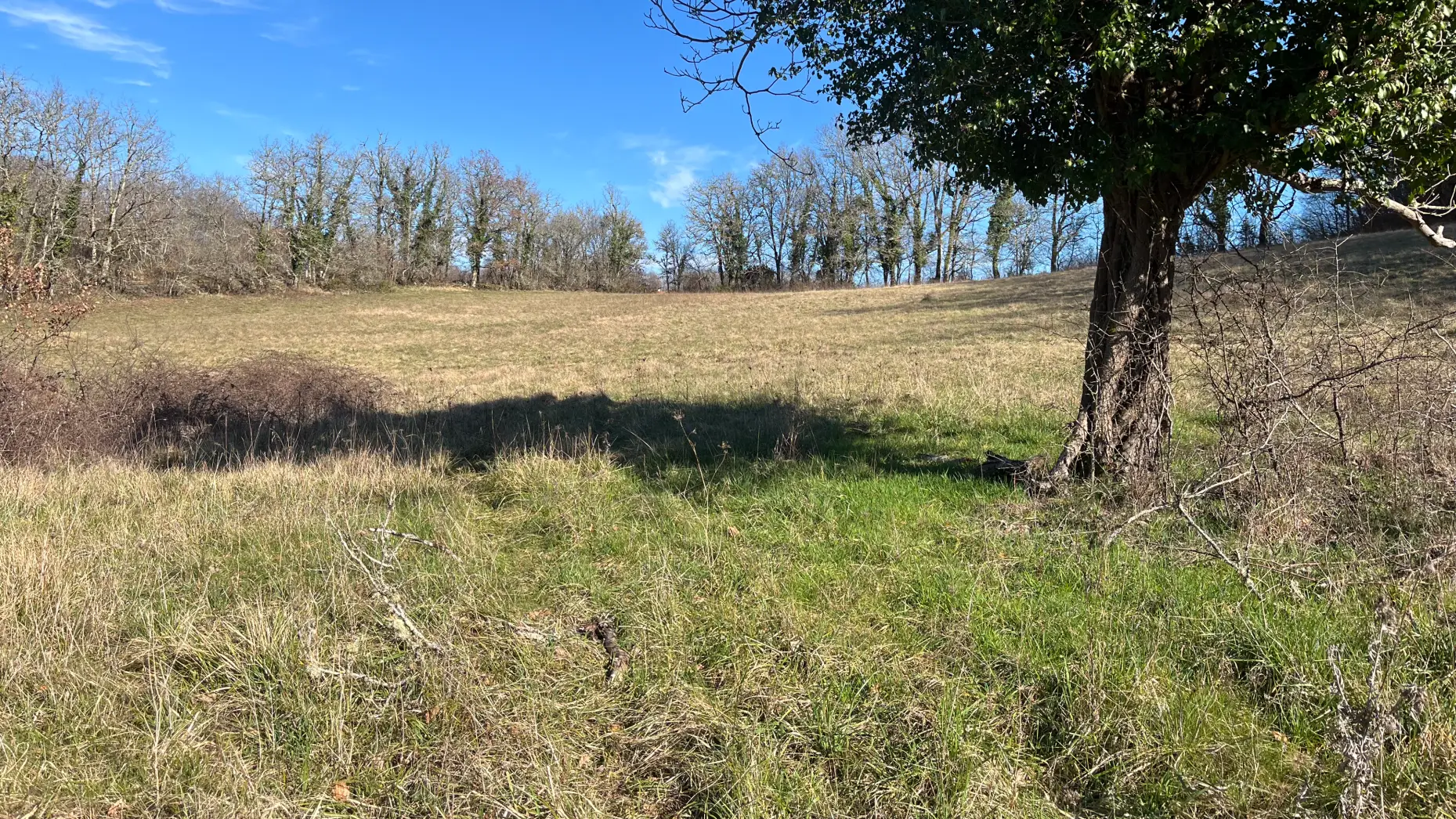 Les Terrasses de Coly