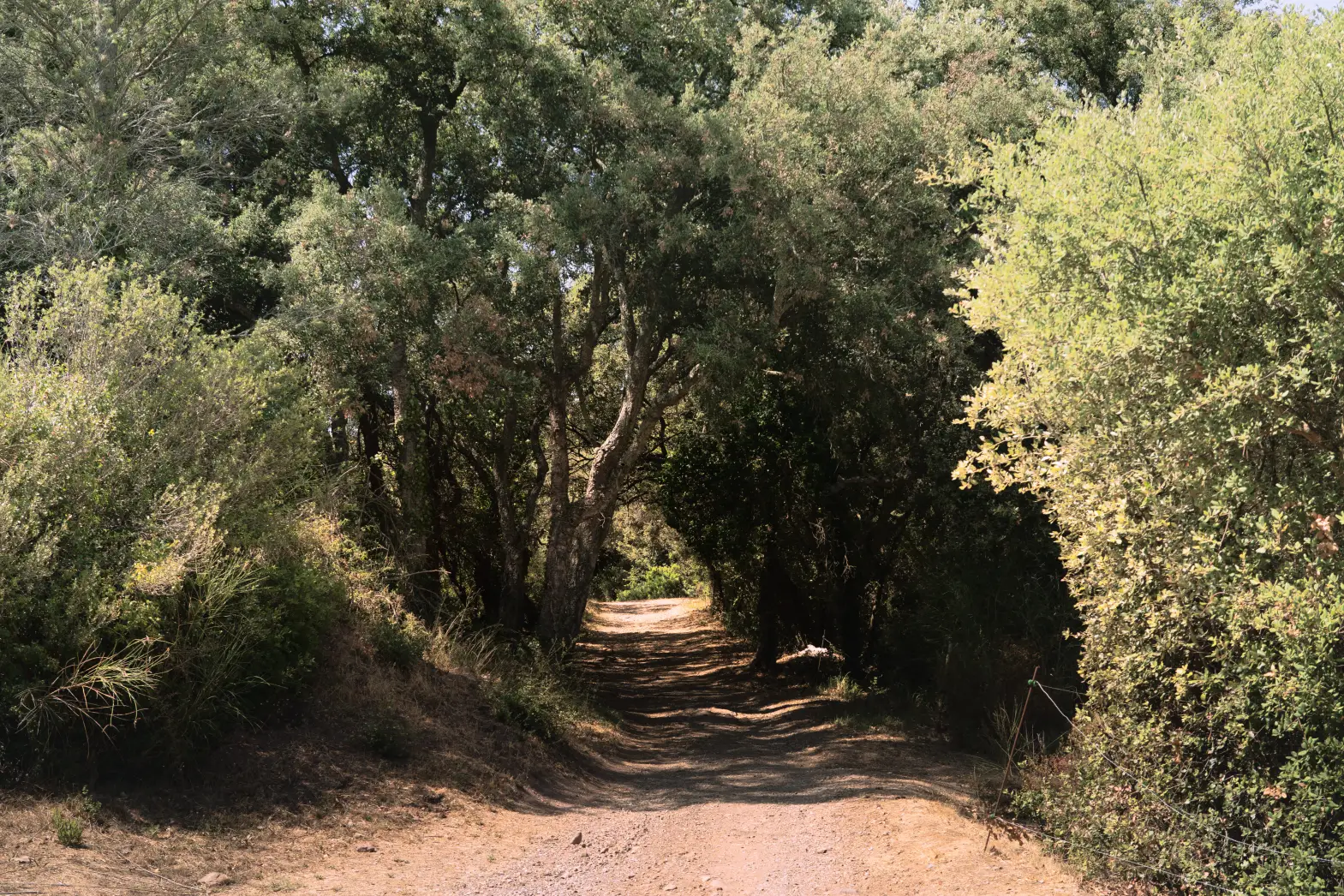 Les hauts d'Agay #4