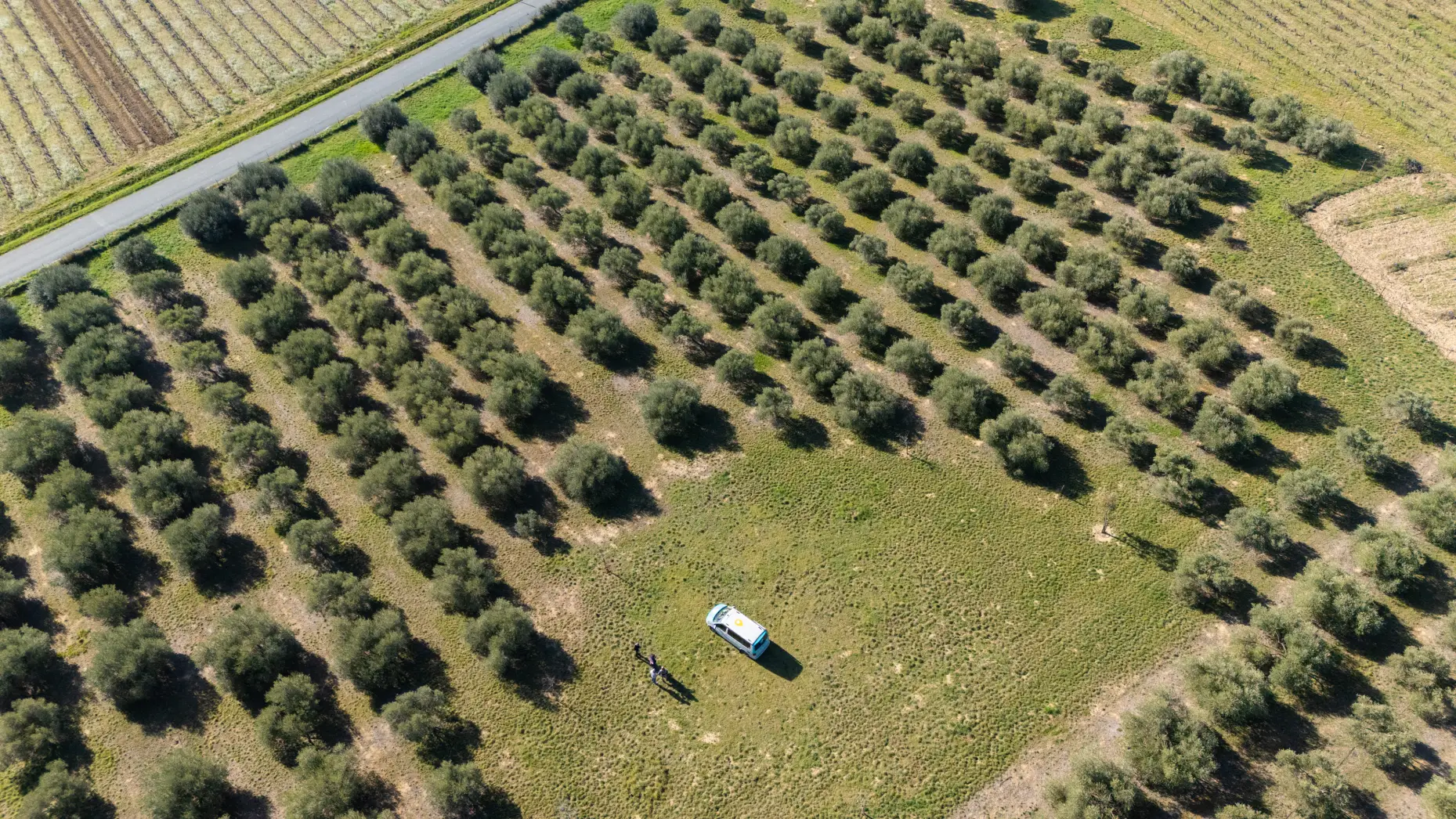 La pause des oliviers 1 #12