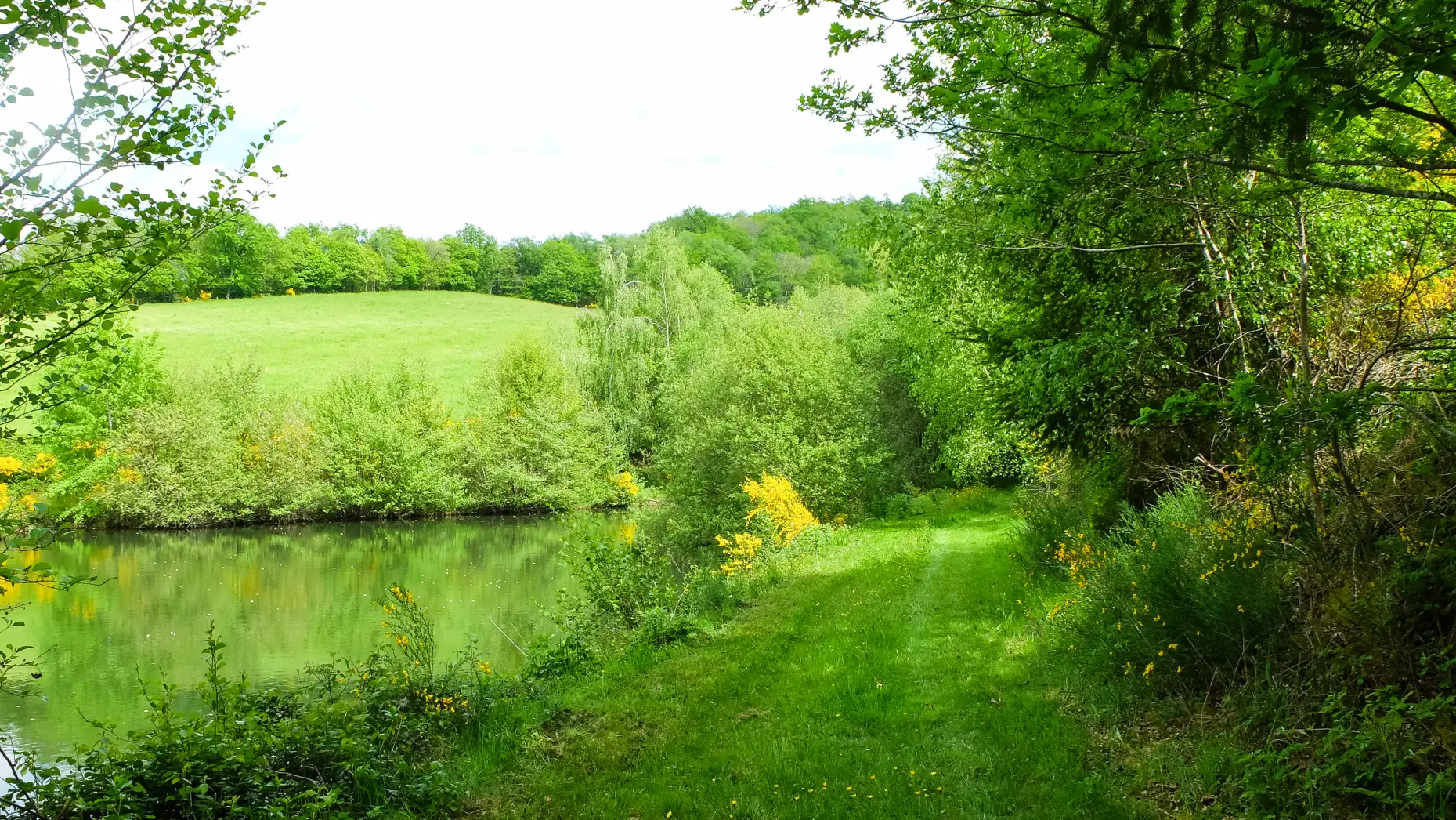 L'étang d'Higones