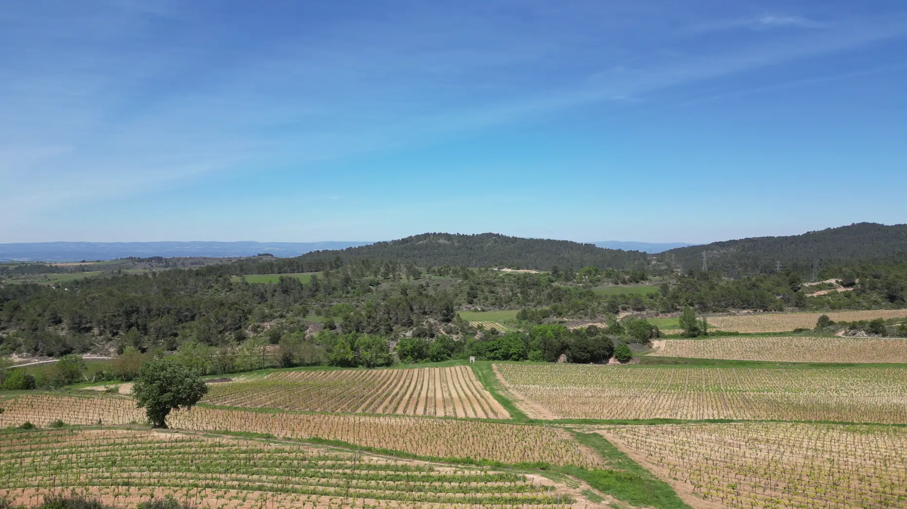Le Panorama #5