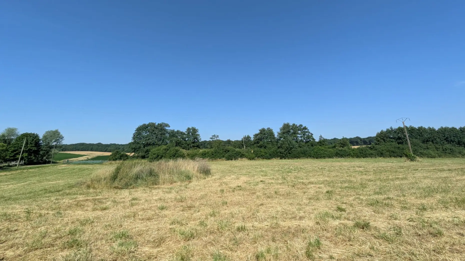 Le pré du domaine #6