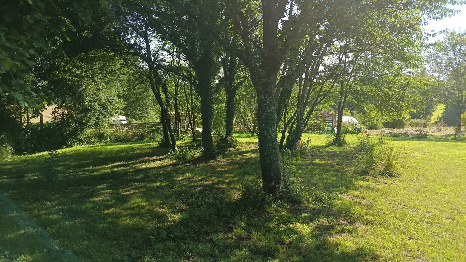 Le jardin sauvage #4