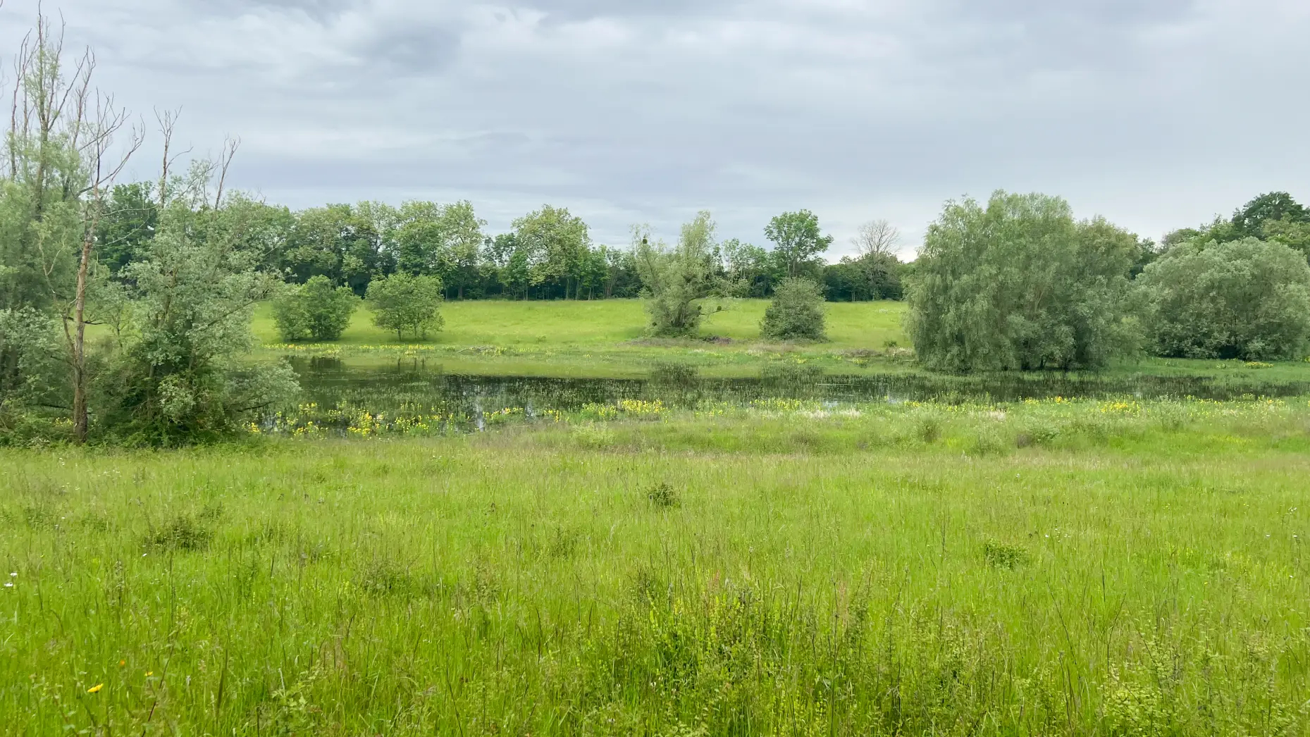 Lac de Chazilly 1 #4