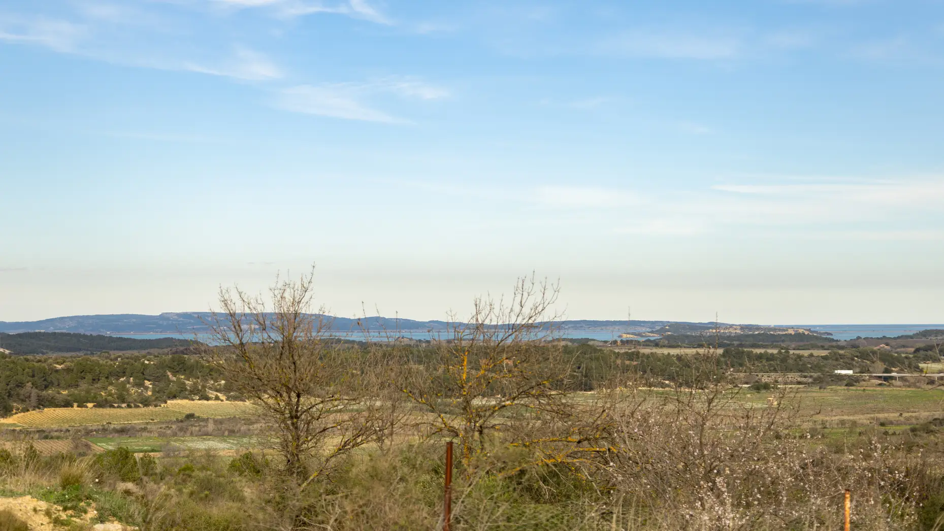 El cortals