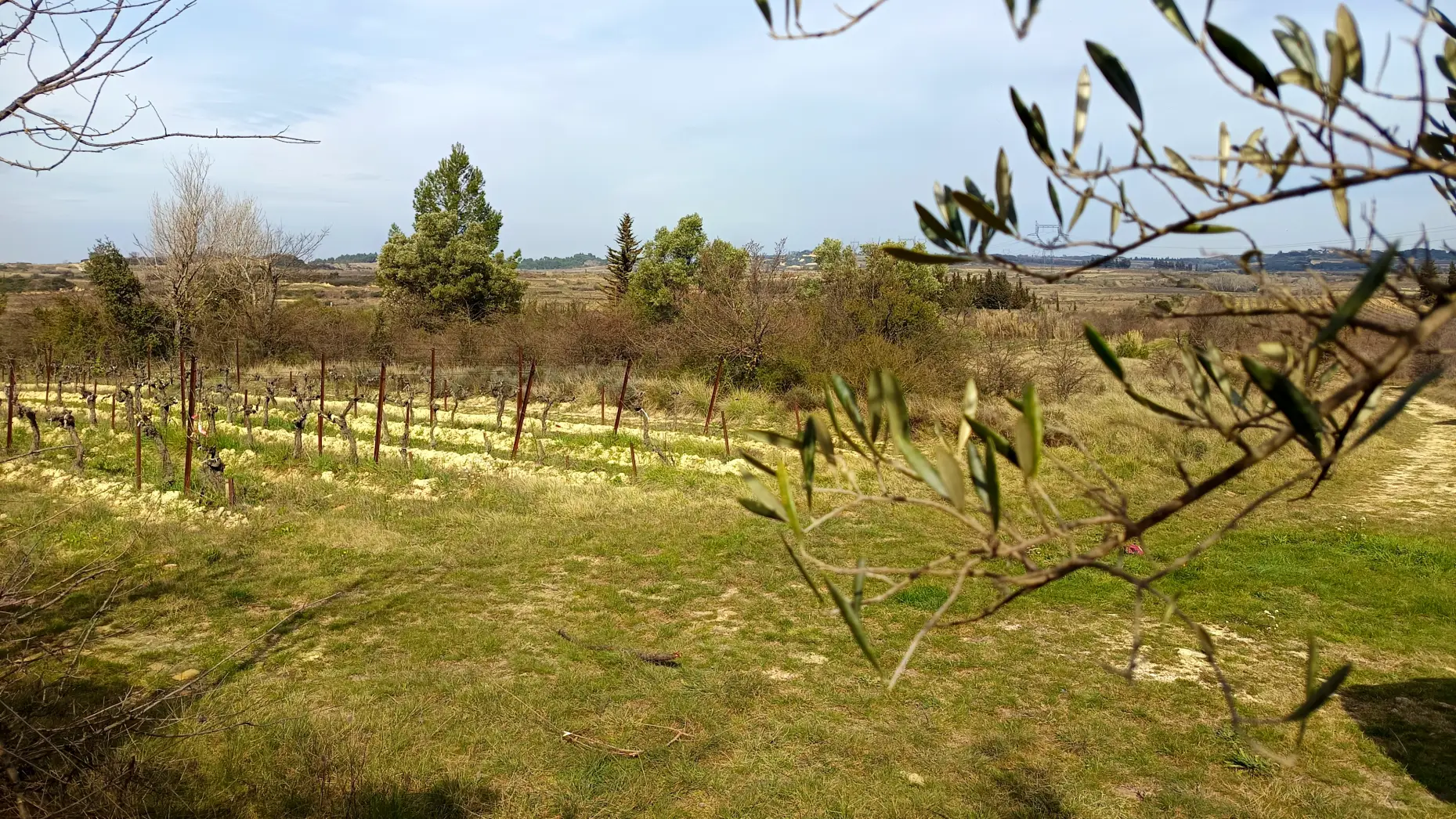 Domaine des romarins