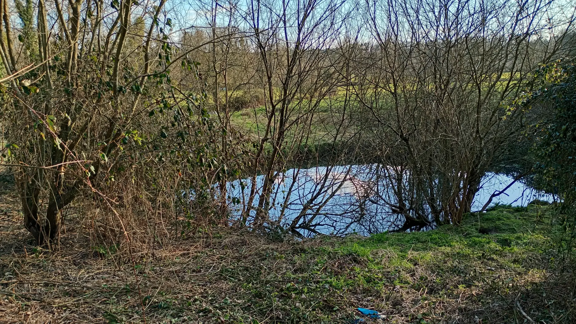Le bivouac des chèvres heureuses #4