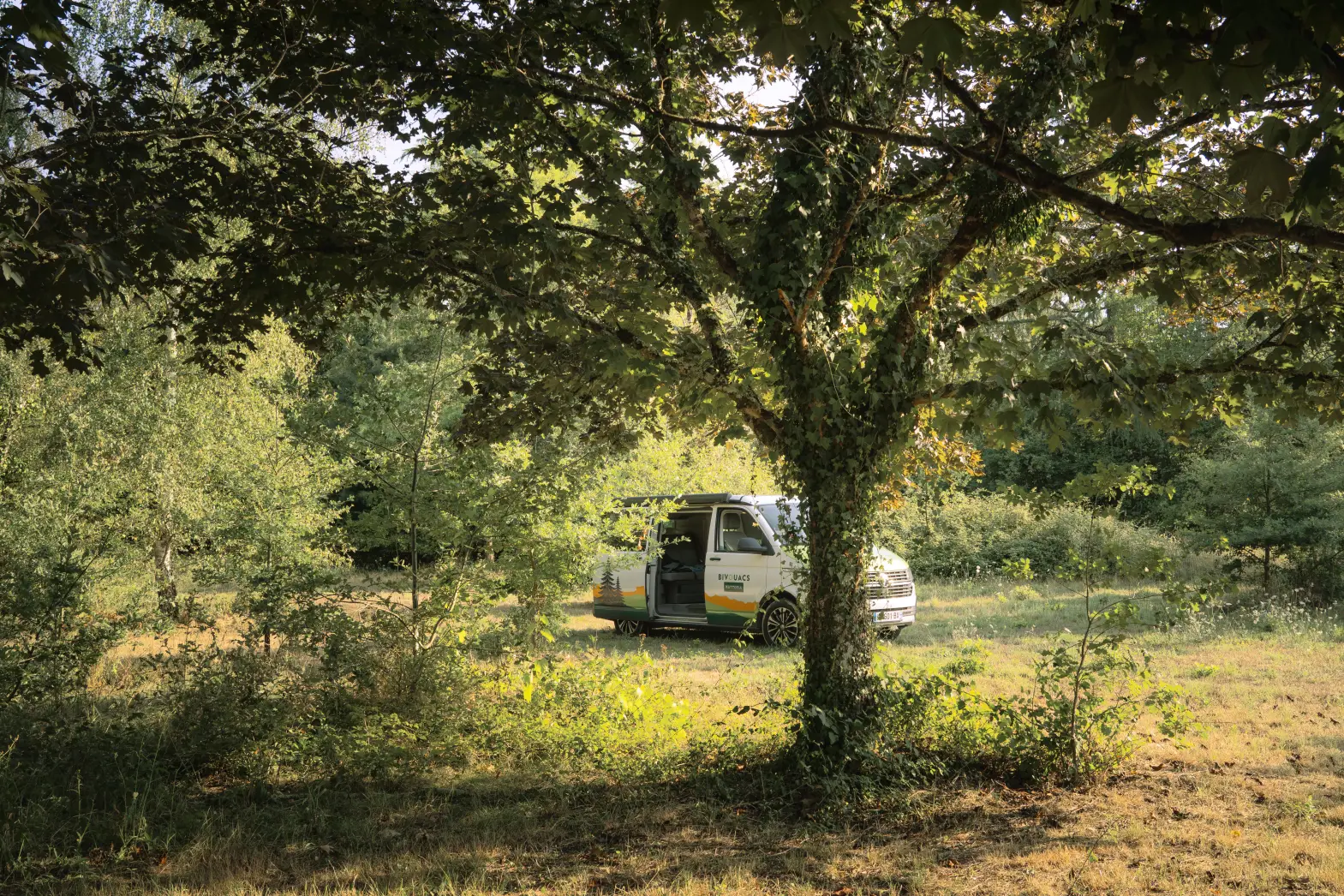 La Clairière Gasconne #4