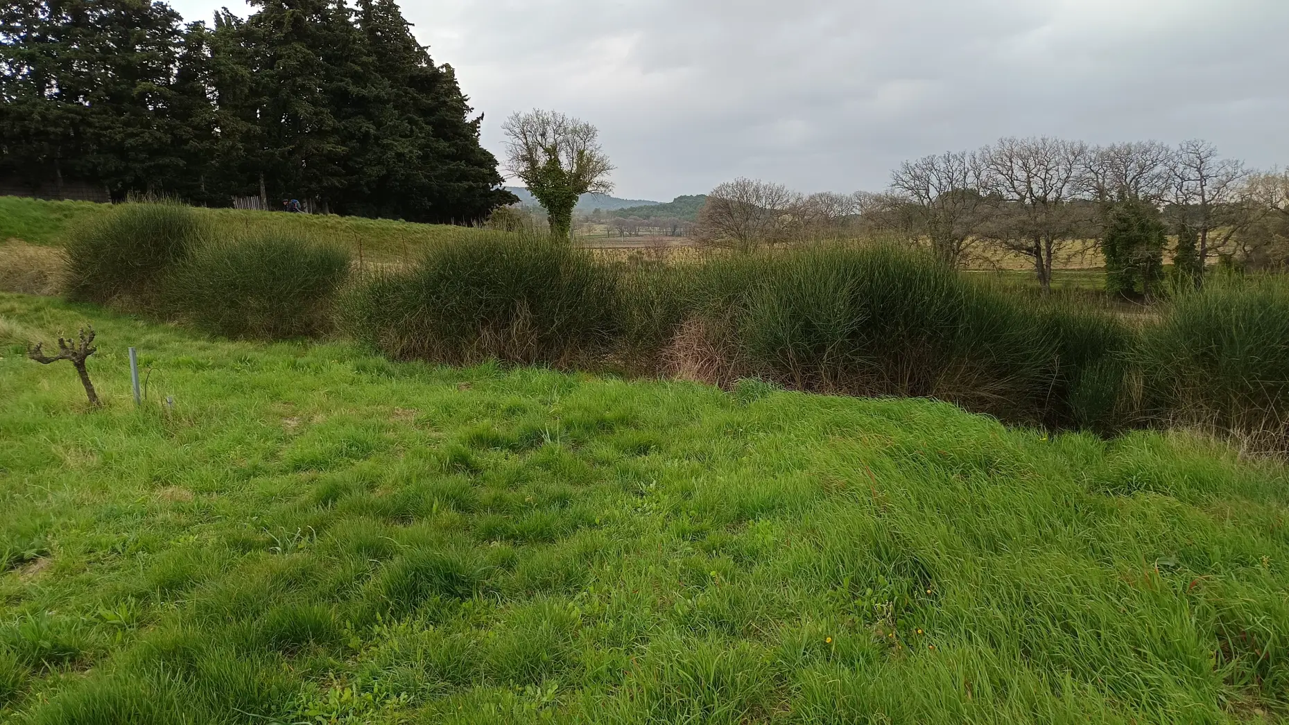 Le domaine du mas des Escarades