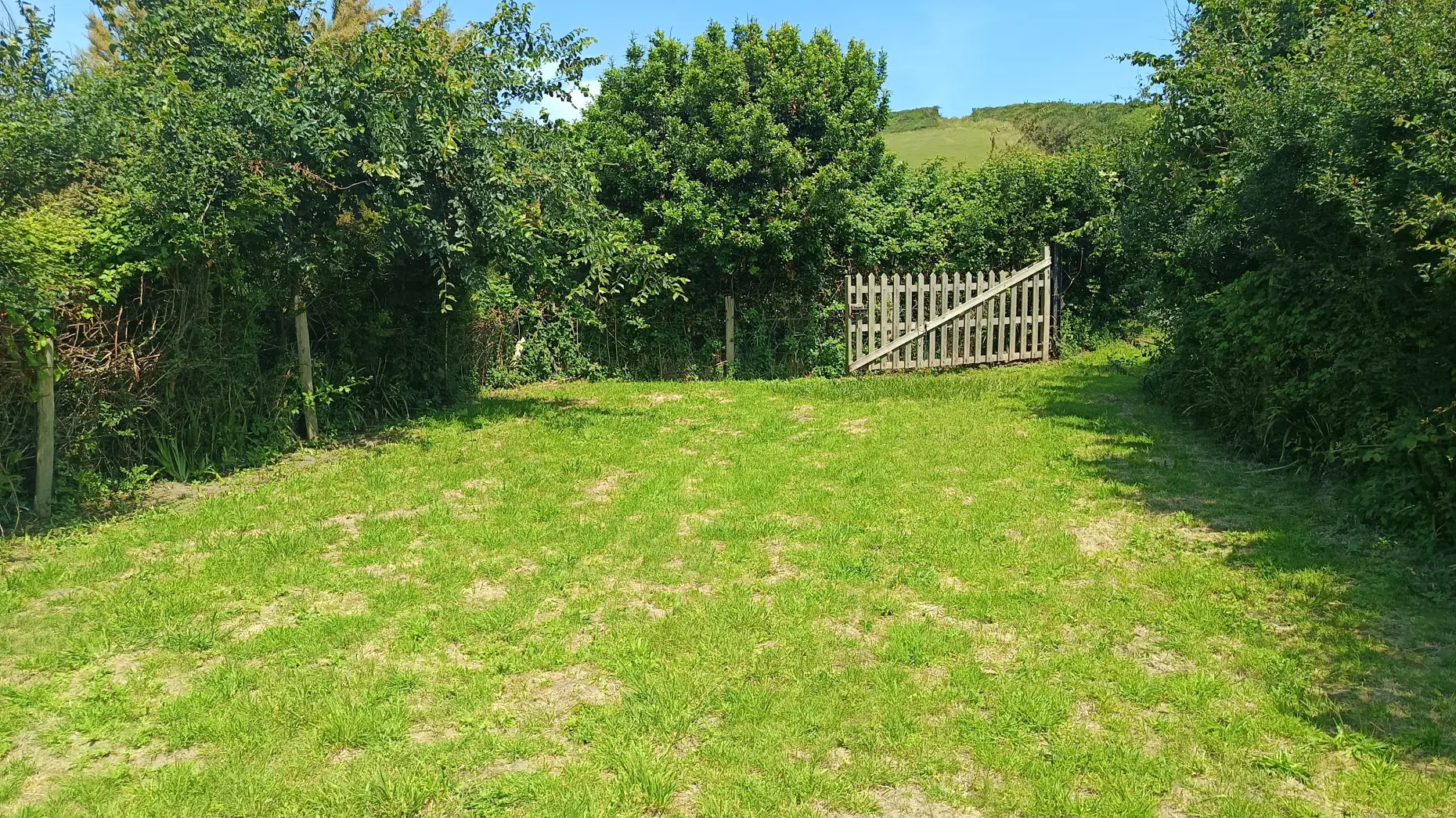 Le petit champ de Sciotot