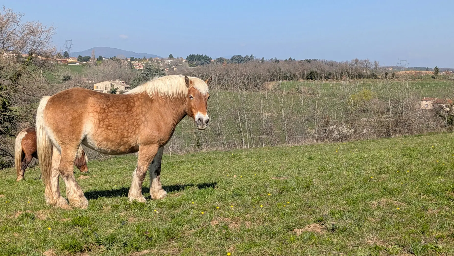 Les Terres de Beauvoir #6