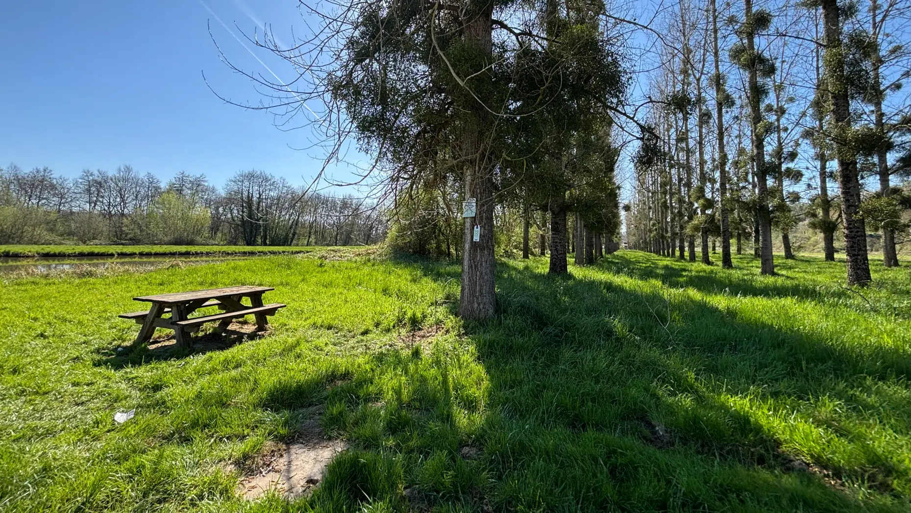 La petite Vadrouille