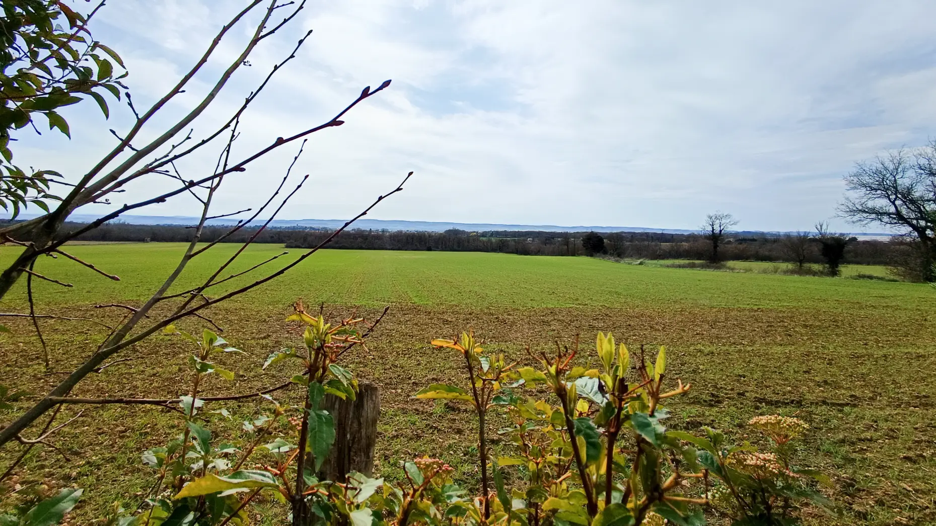 Falga - Le verger #4