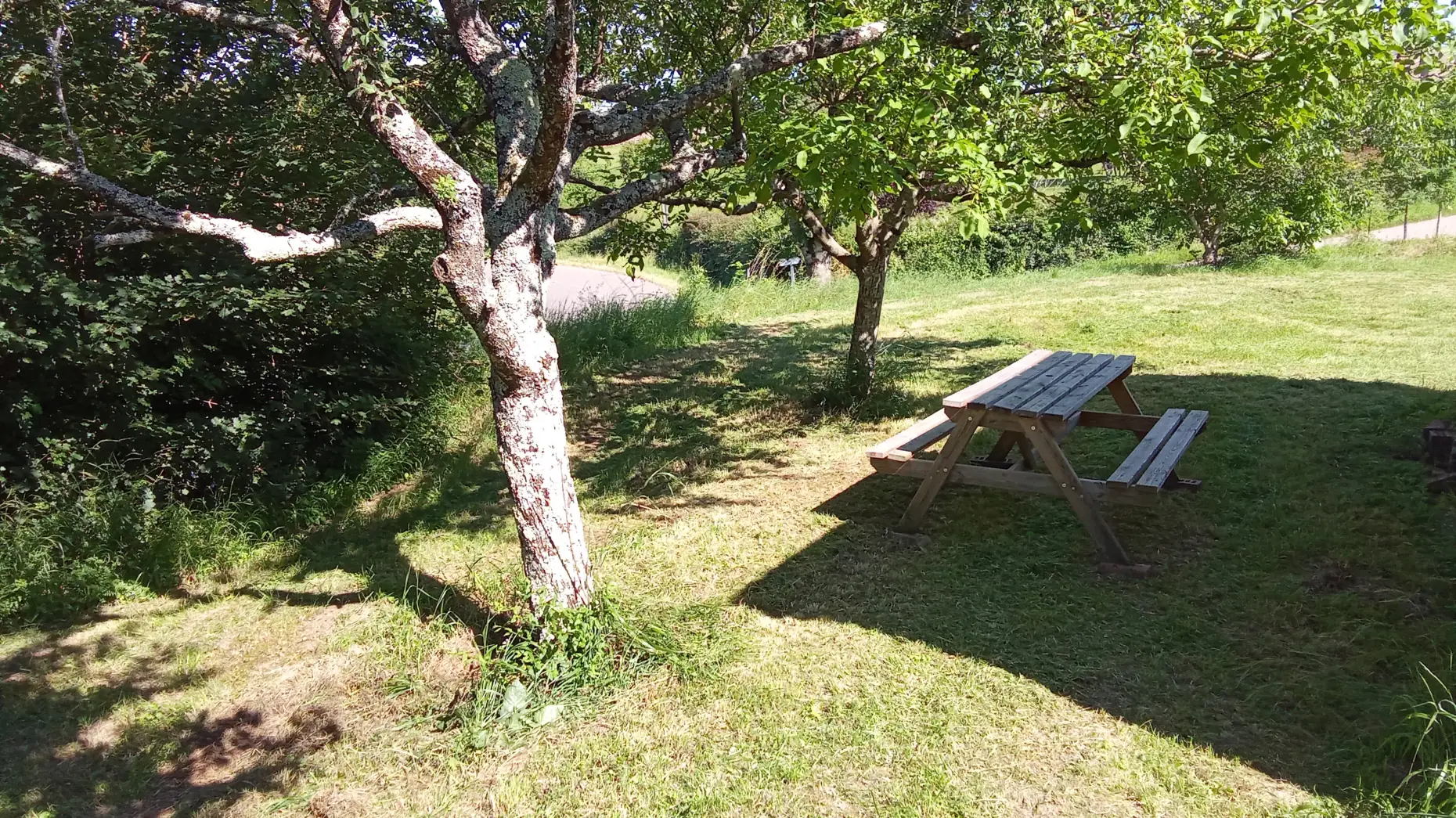 Un clou dans la vigne