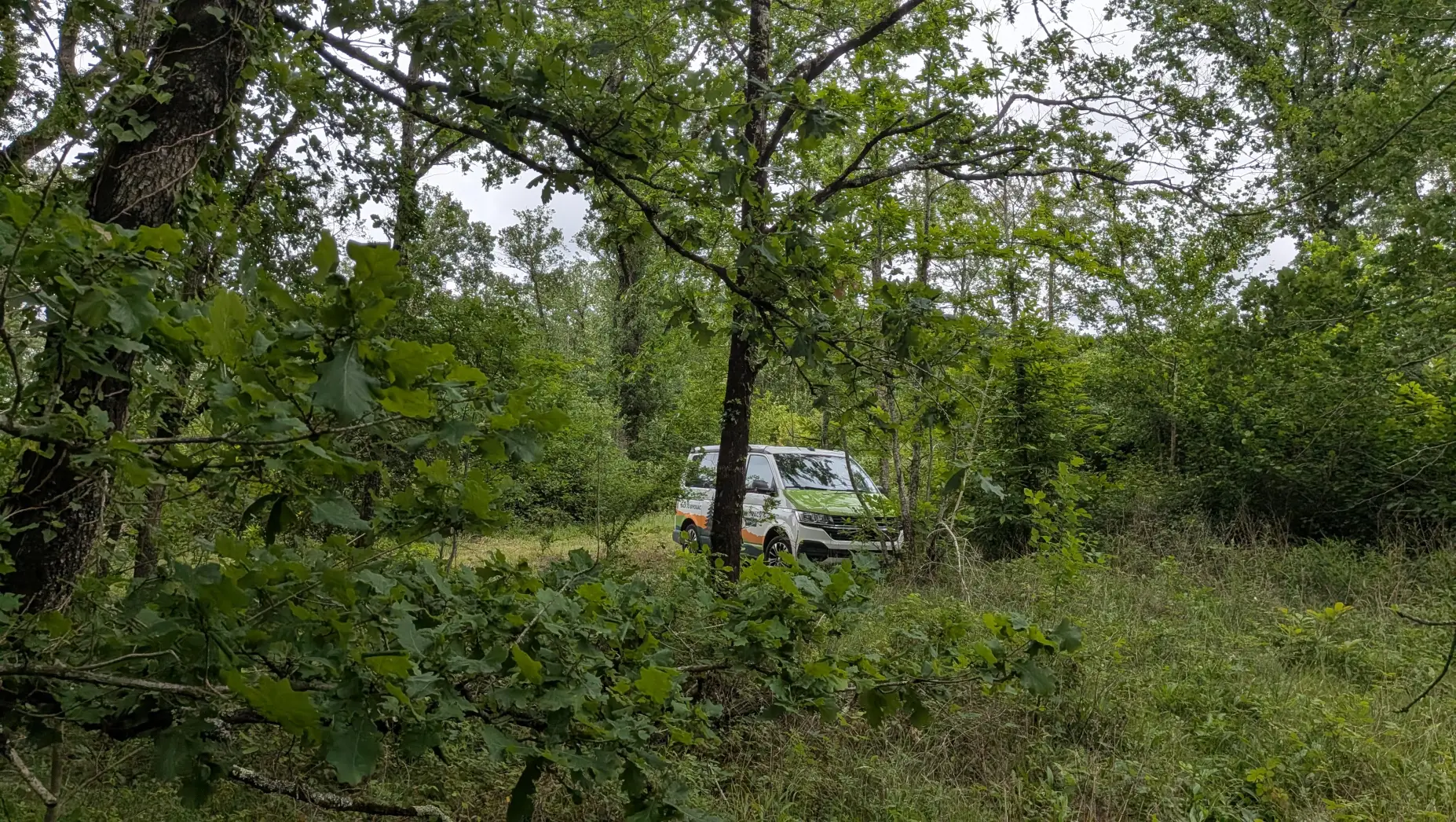 Le Repaire de la Vallée #5