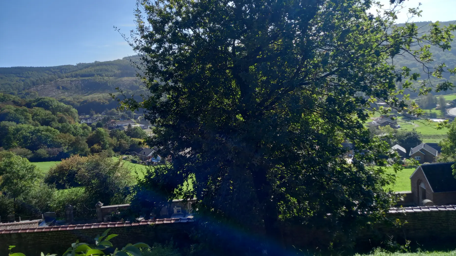 Les Coteaux de Goffontaine #12