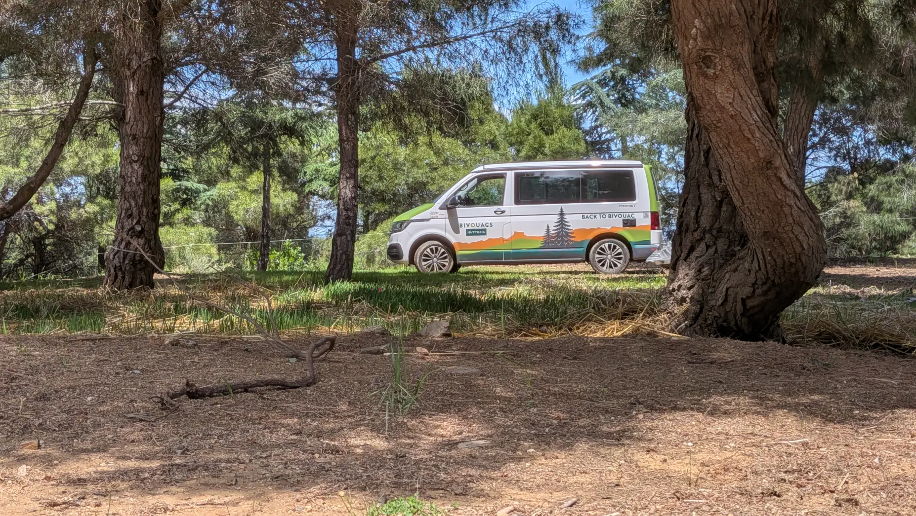Sous les Pins d’Argelès