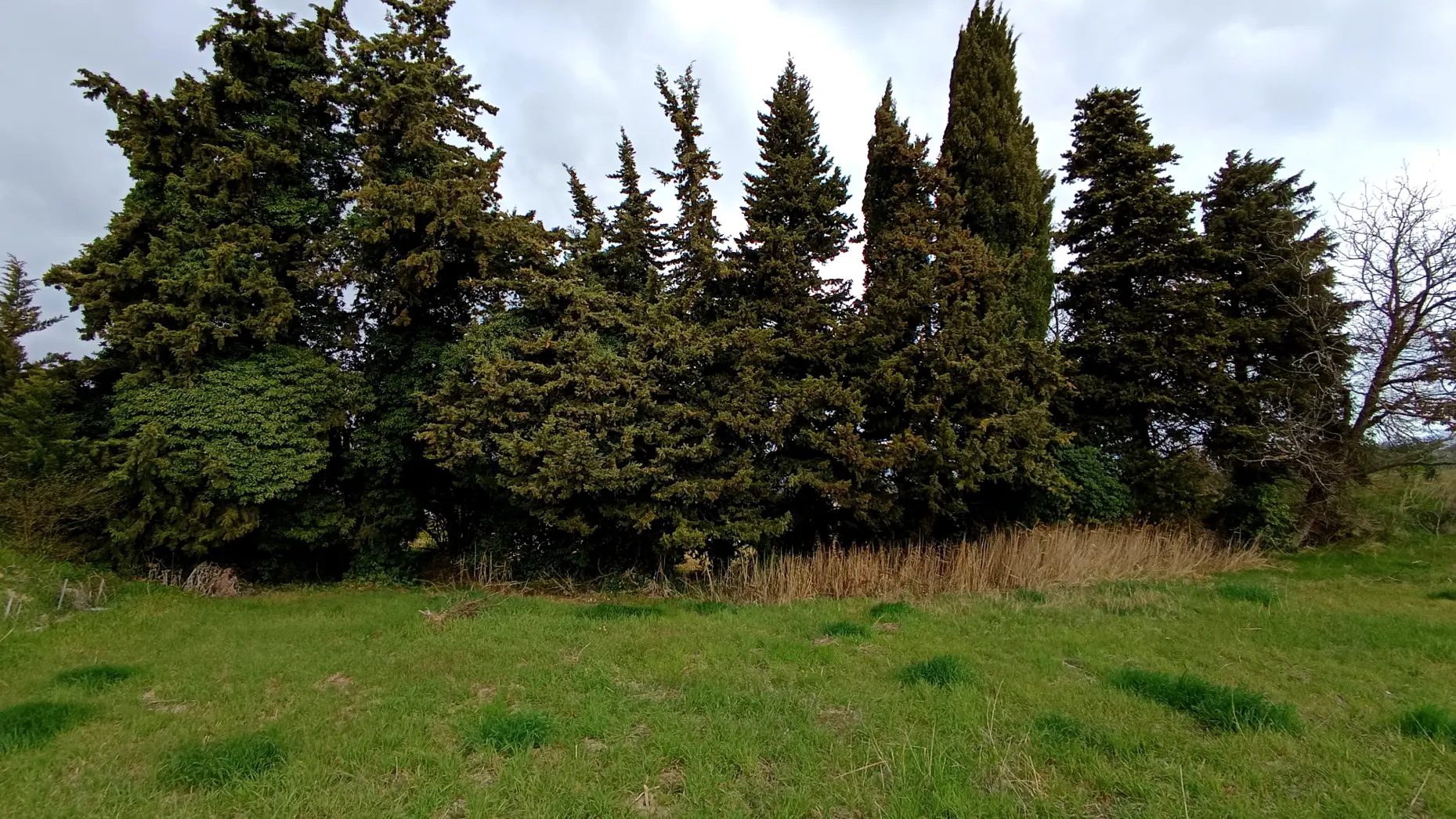 Le domaine du mas des Escarades #4