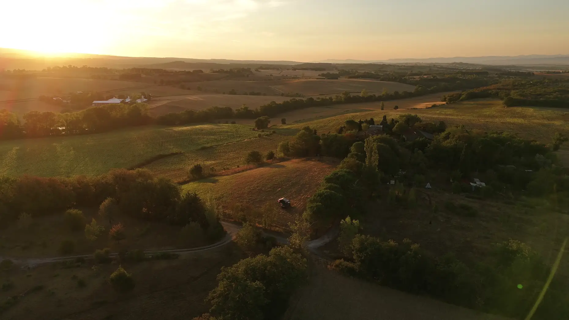 Dans le pré #7
