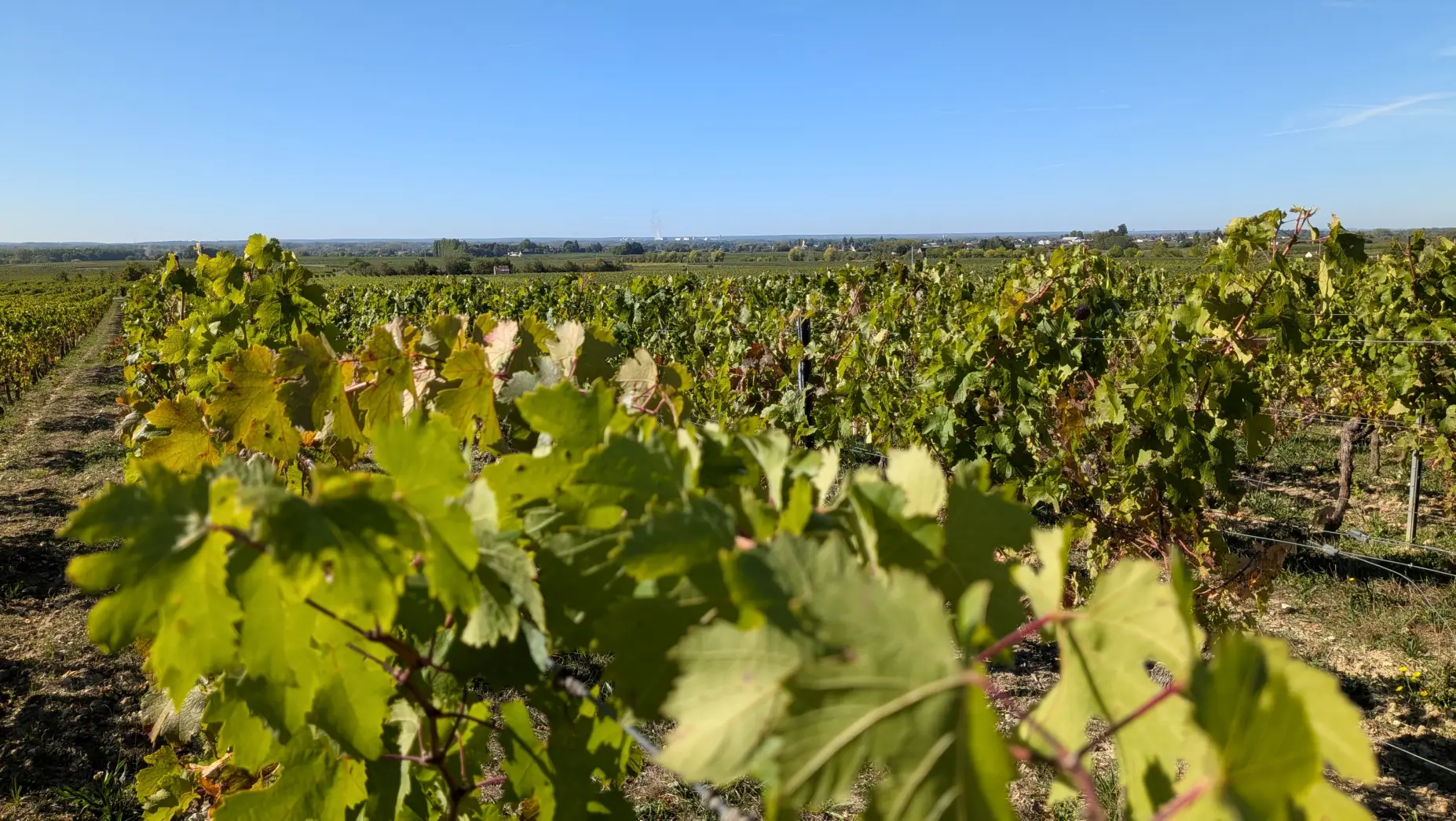 Sur les hauteurs de Mailloches