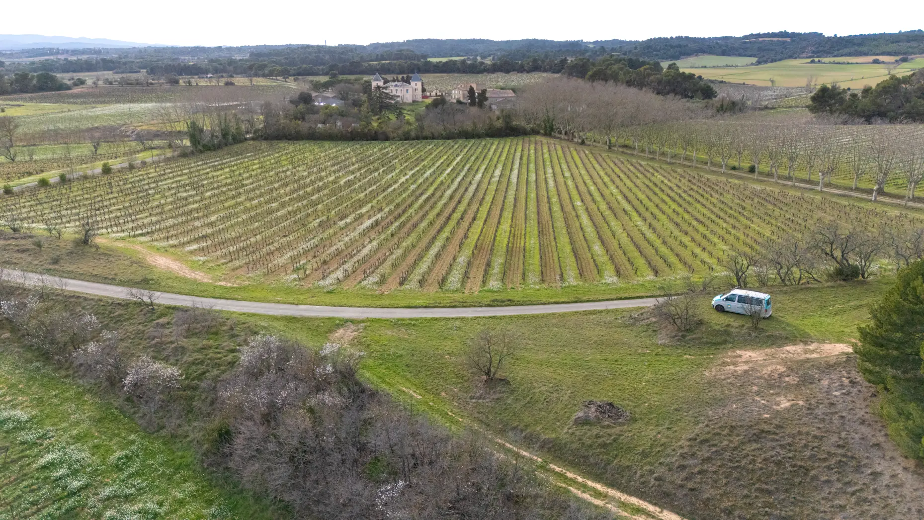 Chateau Bonhomme #6