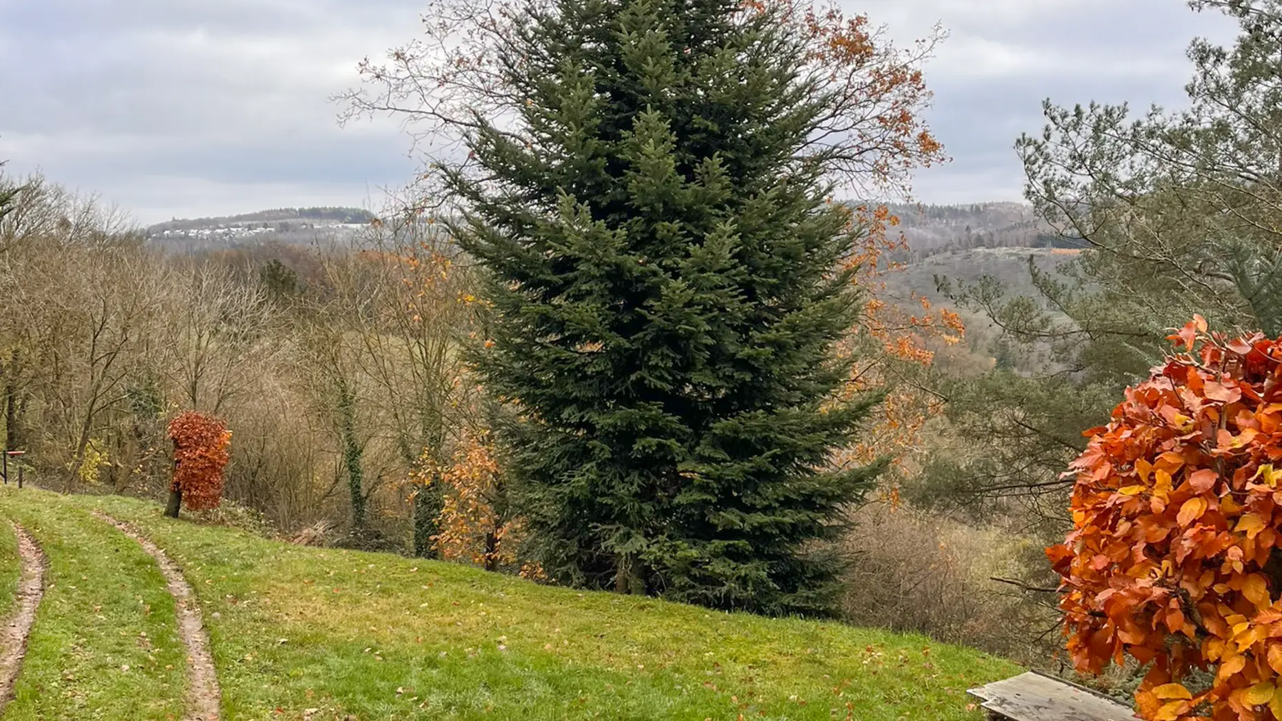 Les Coteaux de Goffontaine #4