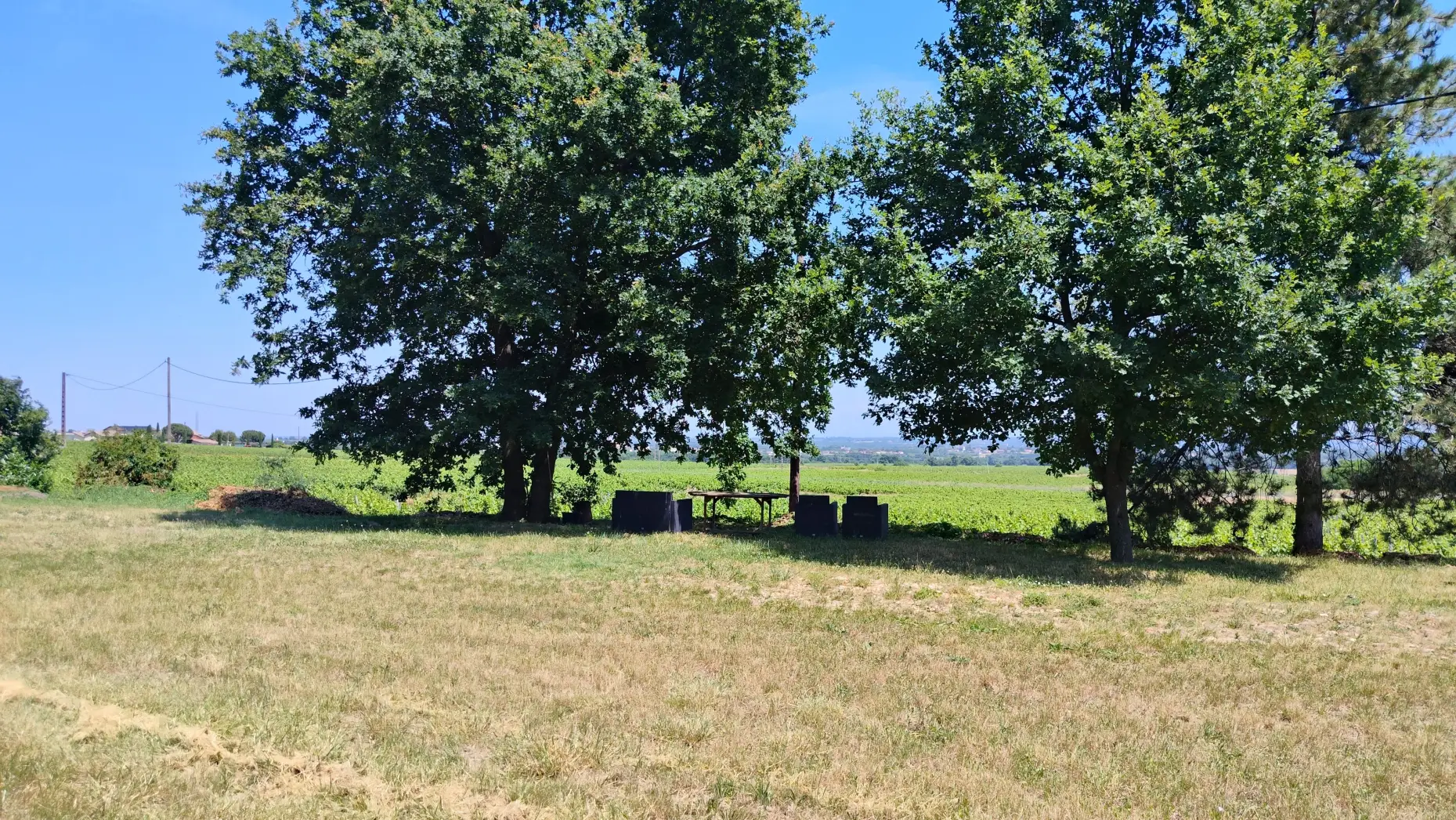 Le Moulin à Vent #4