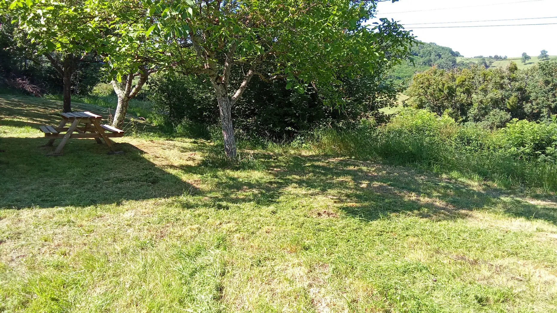 Un clou dans la vigne
