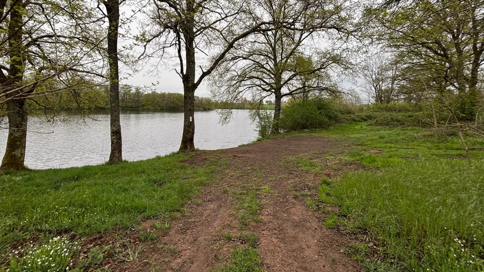 Sous les arbres de Mautaubry #7