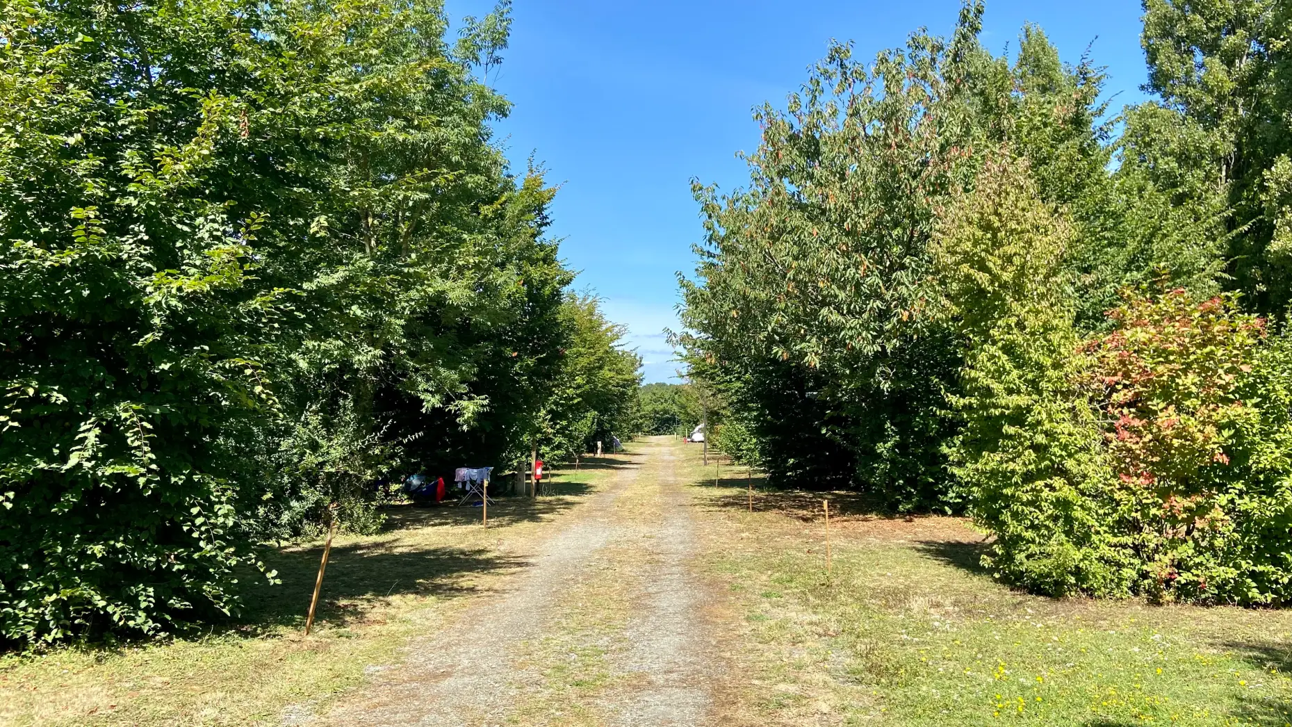 Camping Le Petit Bocage #10