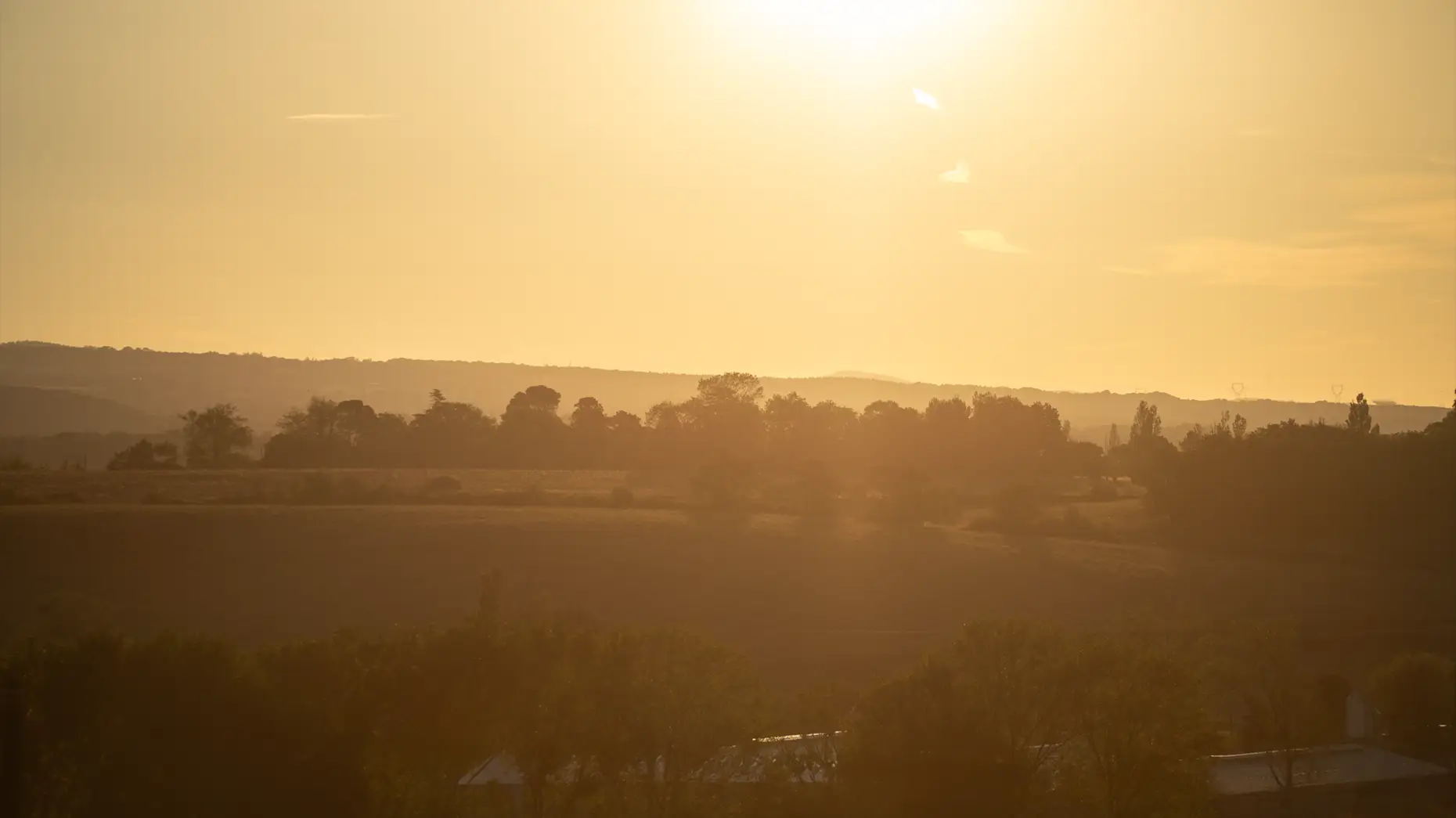 Dans le pré #6