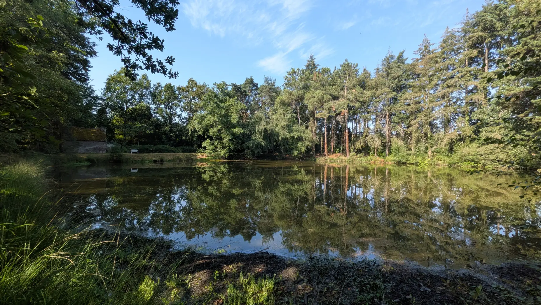 L'étang de Brocéliande