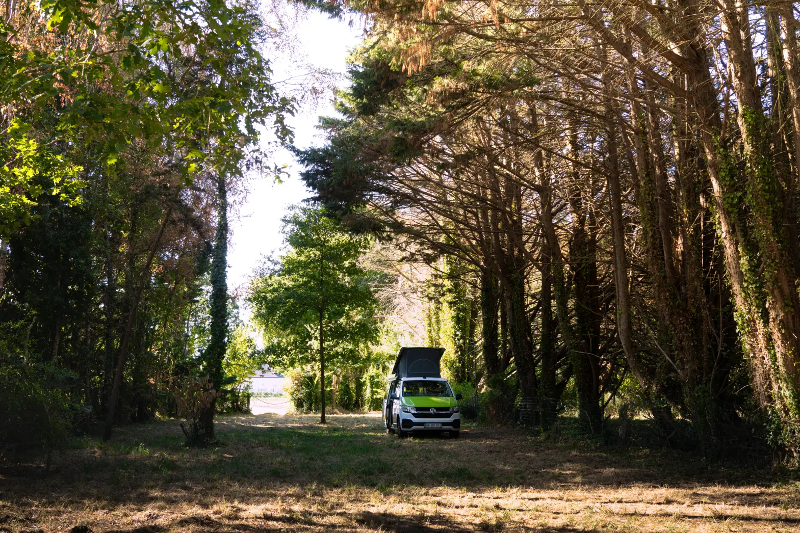 L’abri des grands arbres