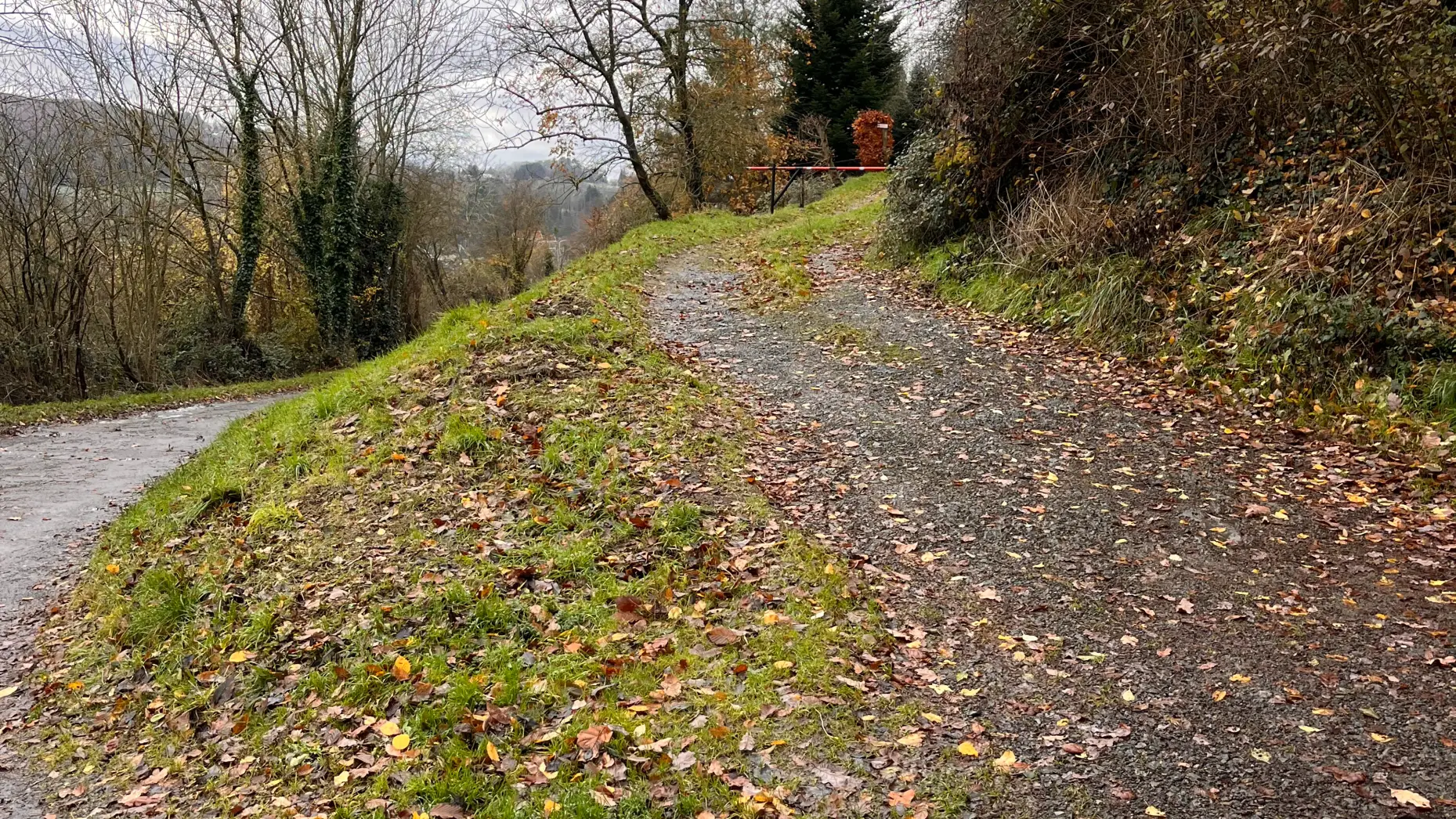 Les Coteaux de Goffontaine #6