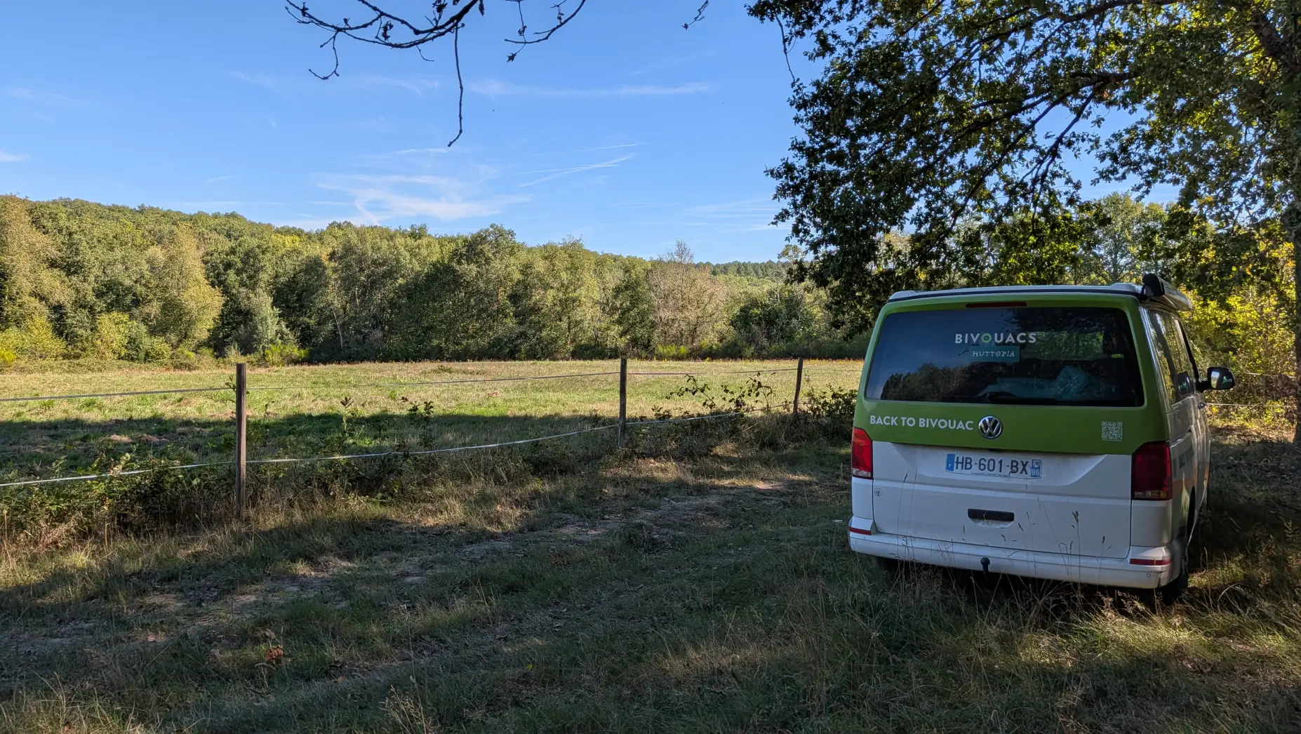 A la lisière de la forêt